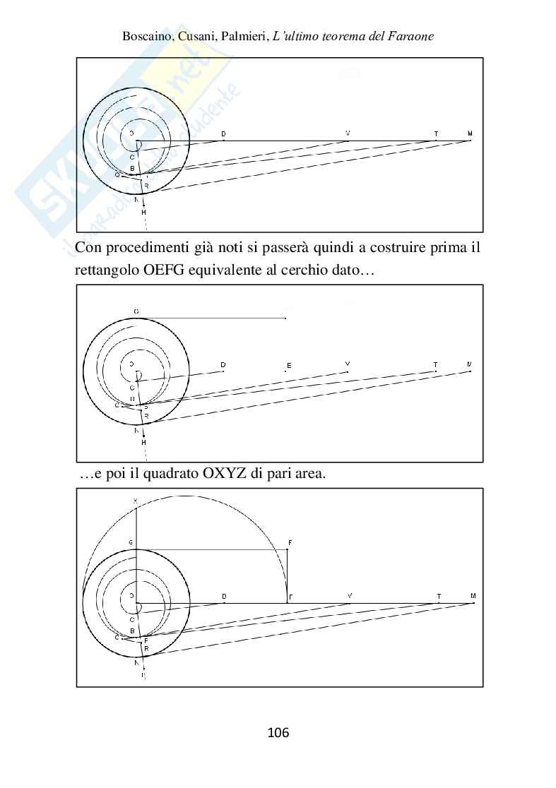 L'ultimo teorema del Faraone (ebook) Pag. 106