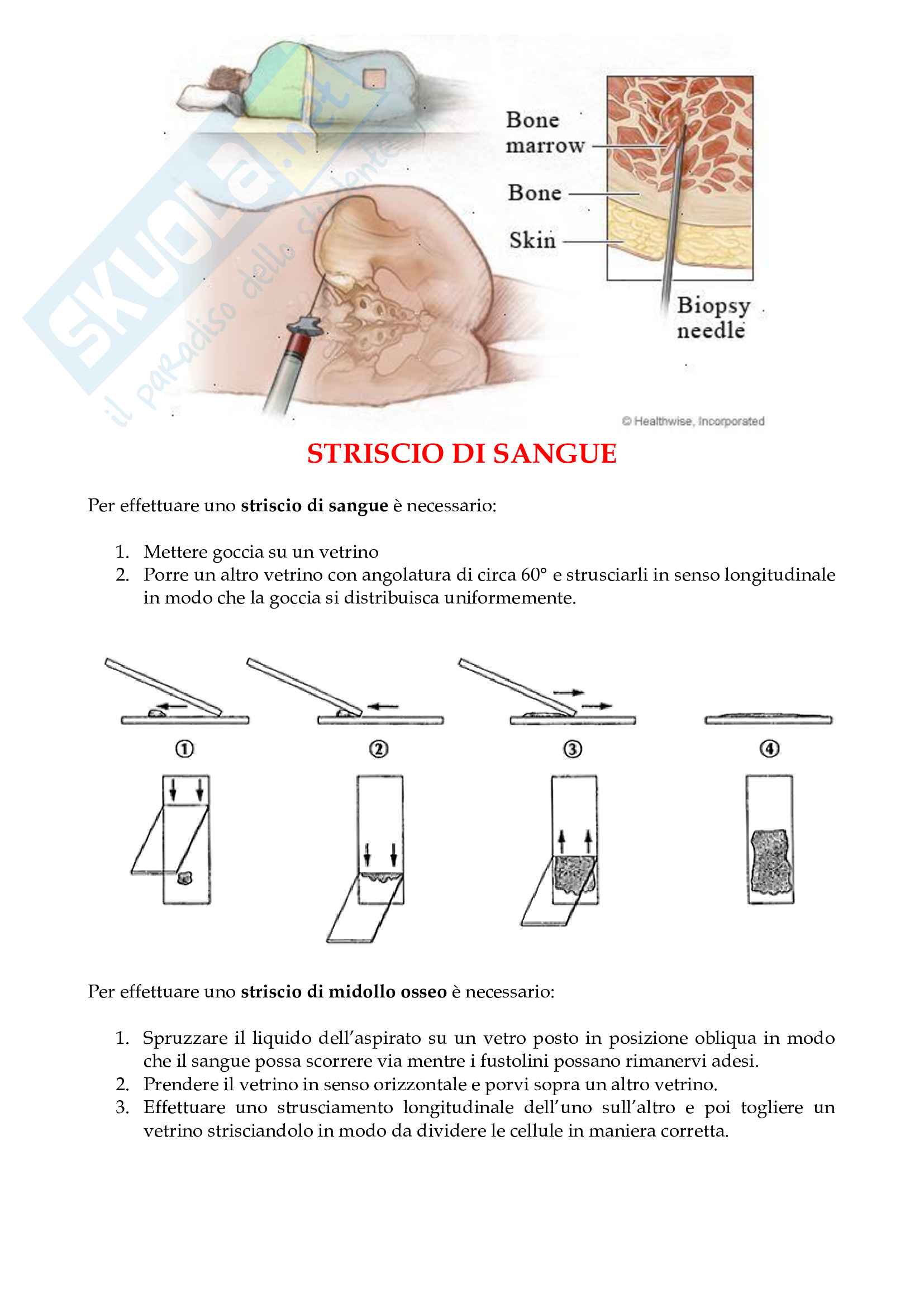 Patologia diagnostica ematologica Pag. 11