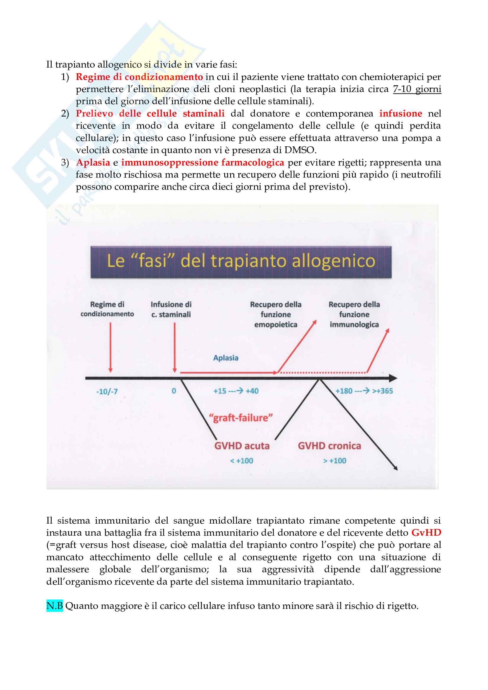 Patologia diagnostica ematologica Pag. 16