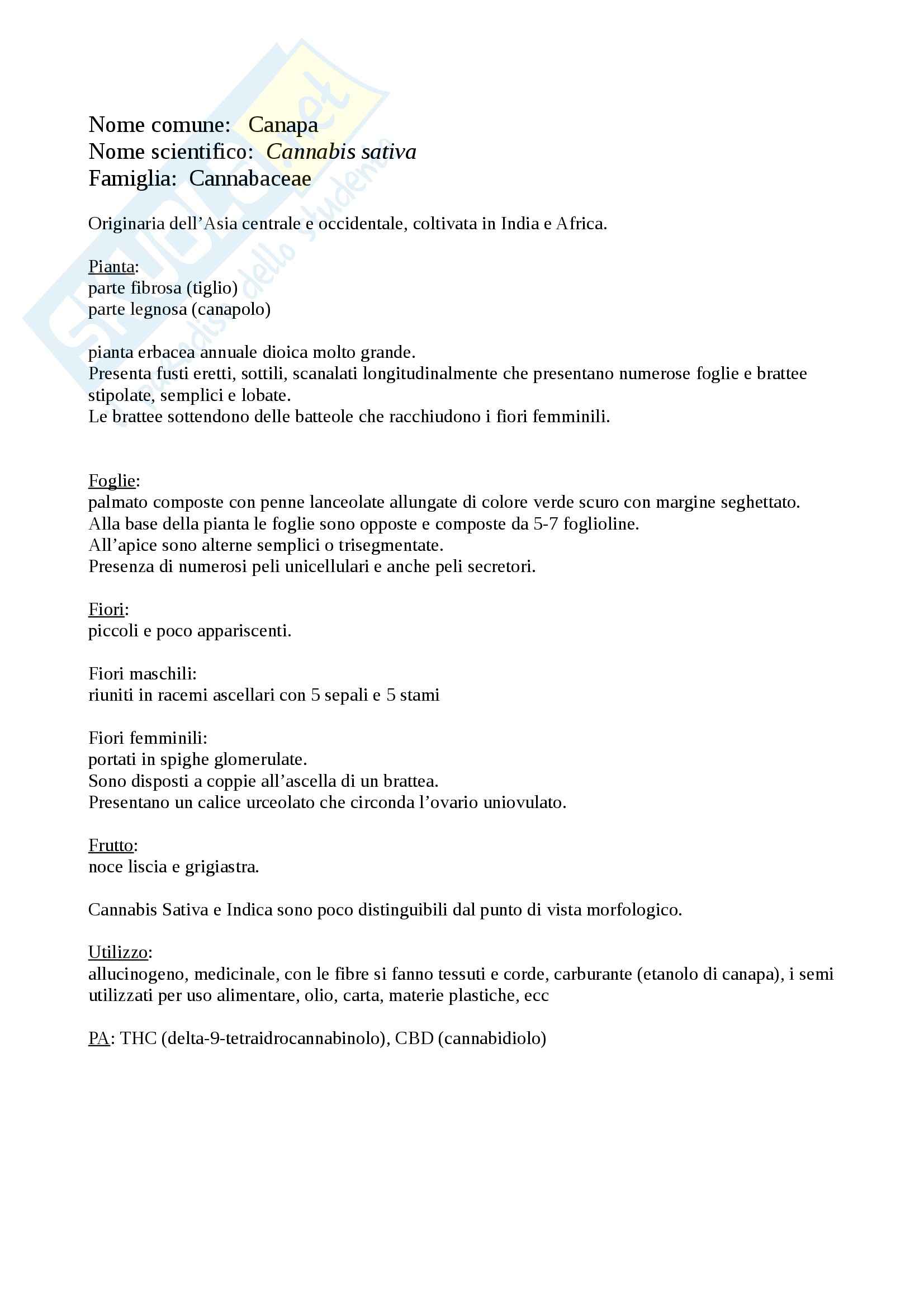 Botanica delle piante officinali Pag. 11