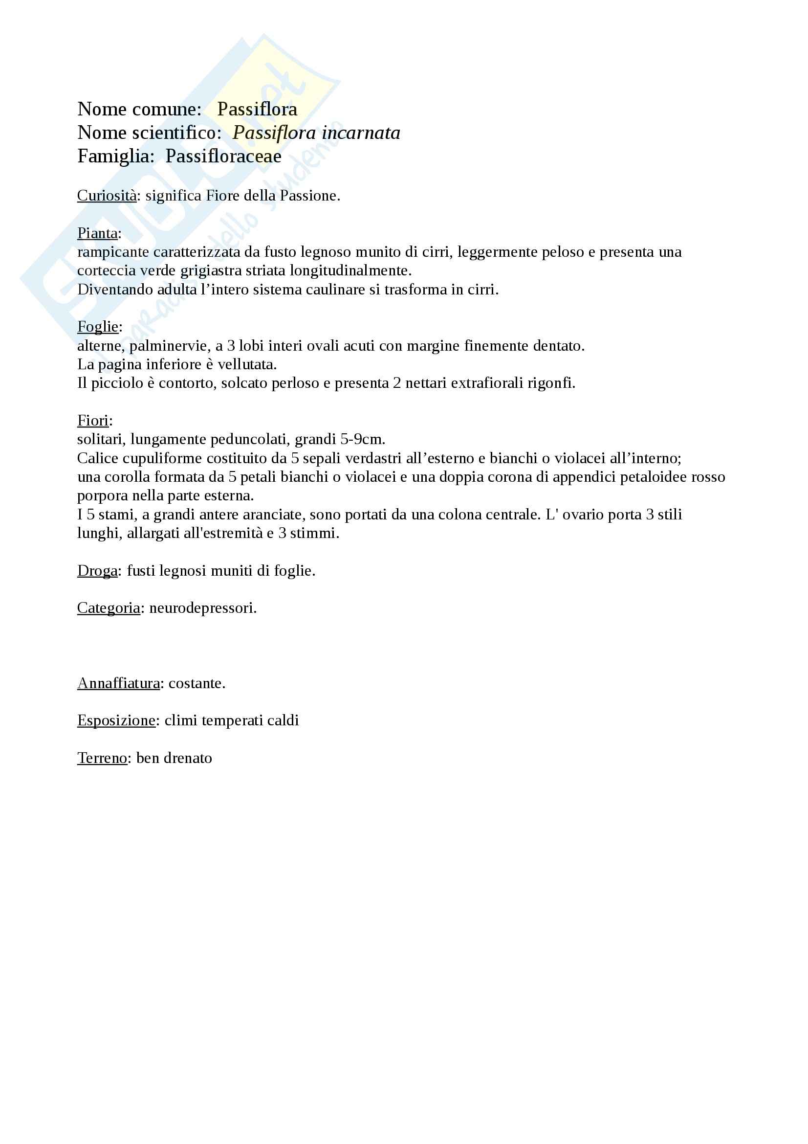 Botanica delle piante officinali Pag. 21