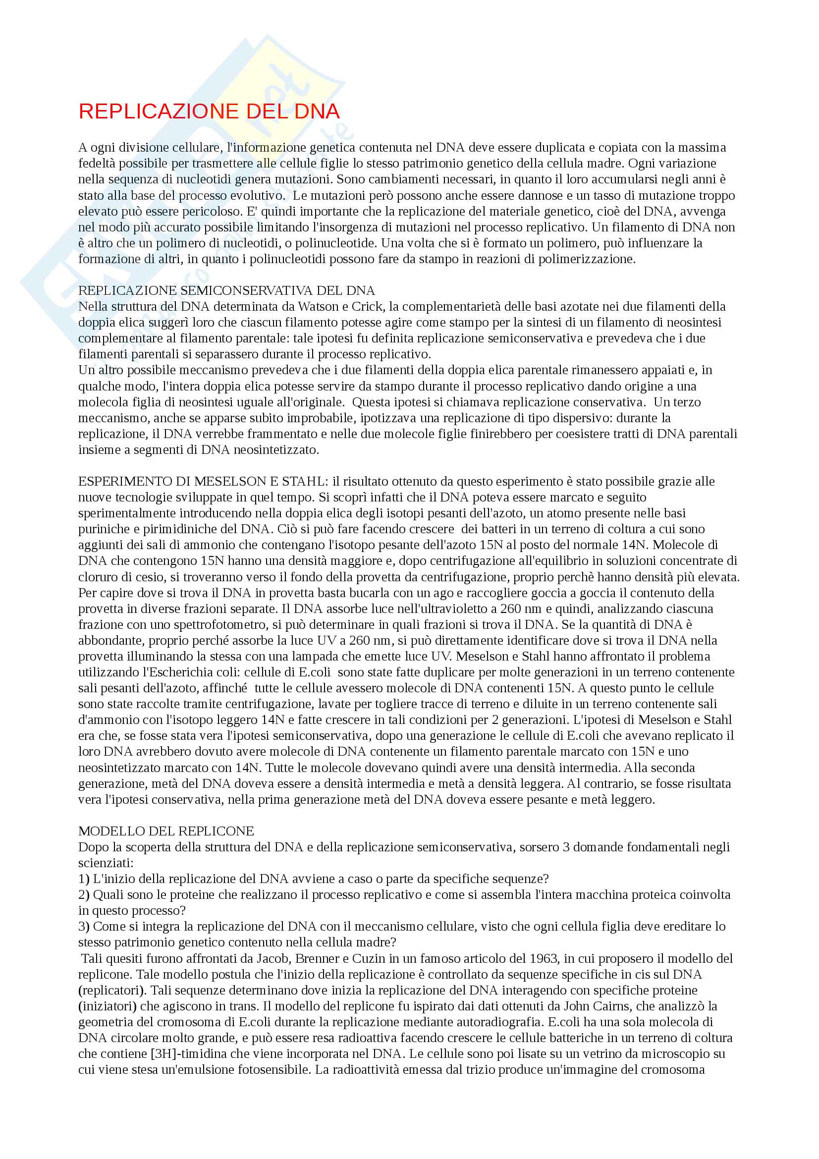 Riassunto sulla replicazione del DNA Pag. 1