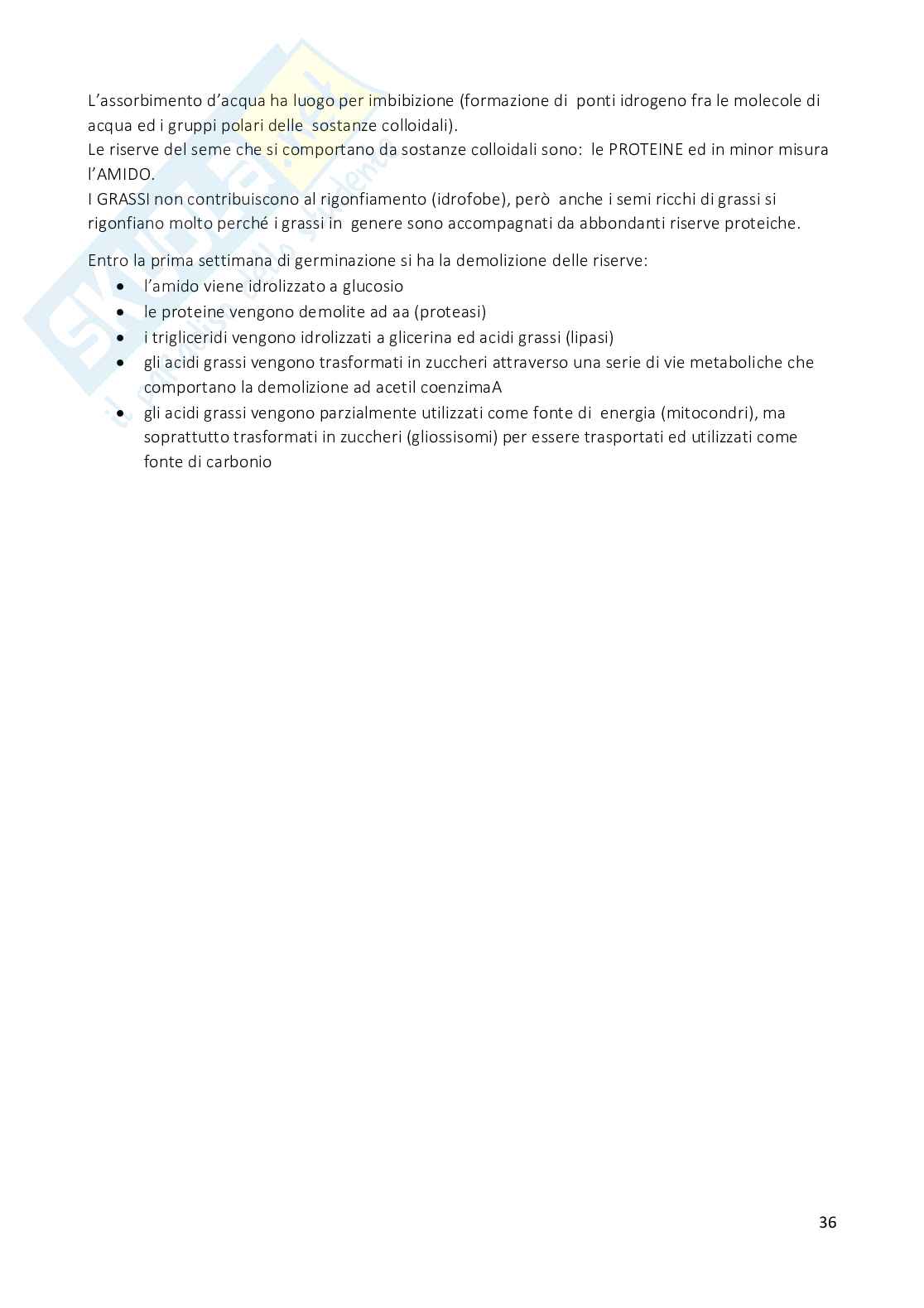 Plasticità cellulare (terza parte) Pag. 36