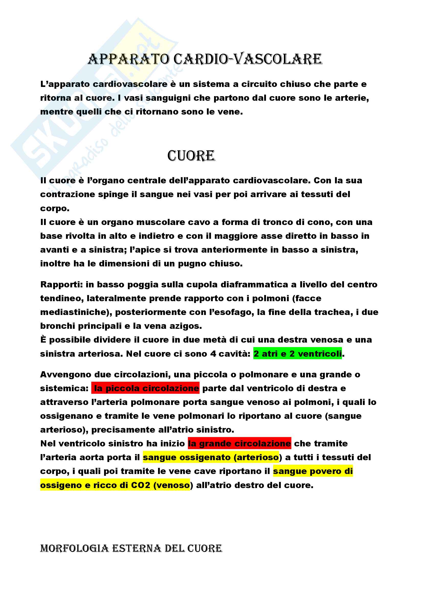 Apparato cardio-vascolare Pag. 1