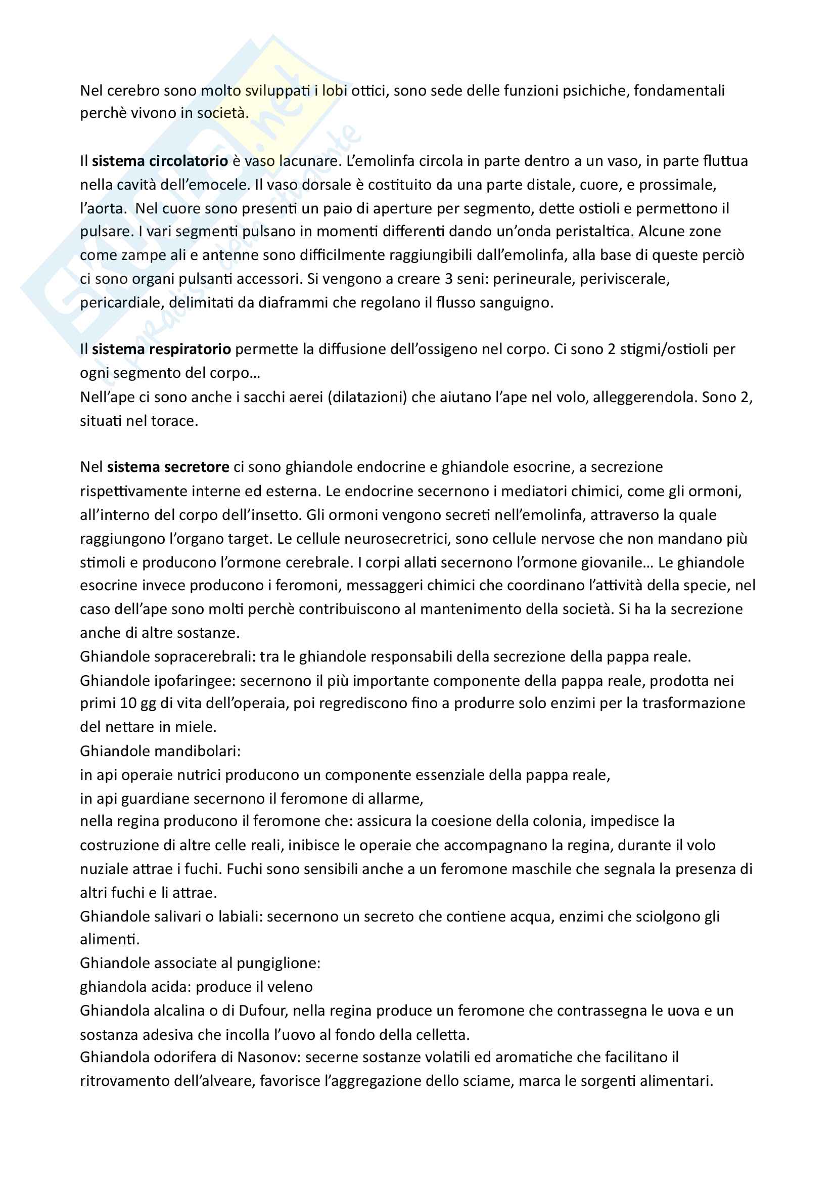 Appunti di Apidologia Pag. 6