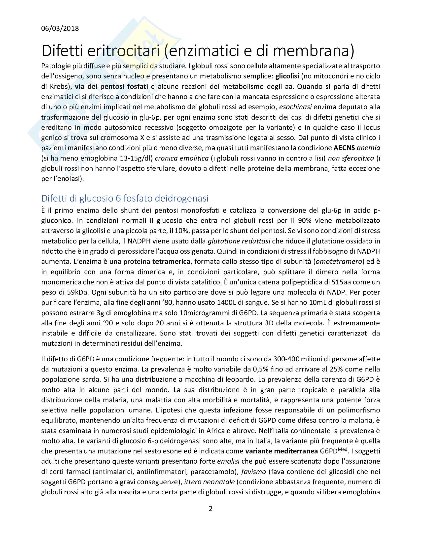 Appunti Biologia Molecolare Clinica Pag. 2