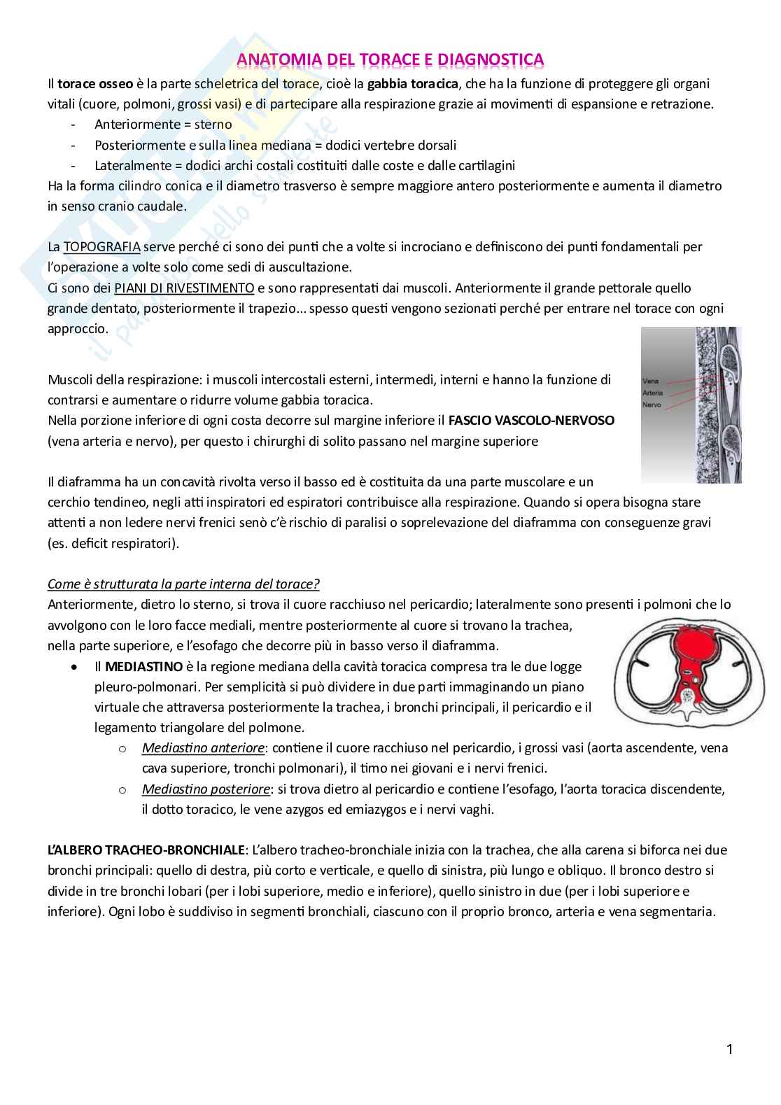 Chirurgia toracica  Pag. 1