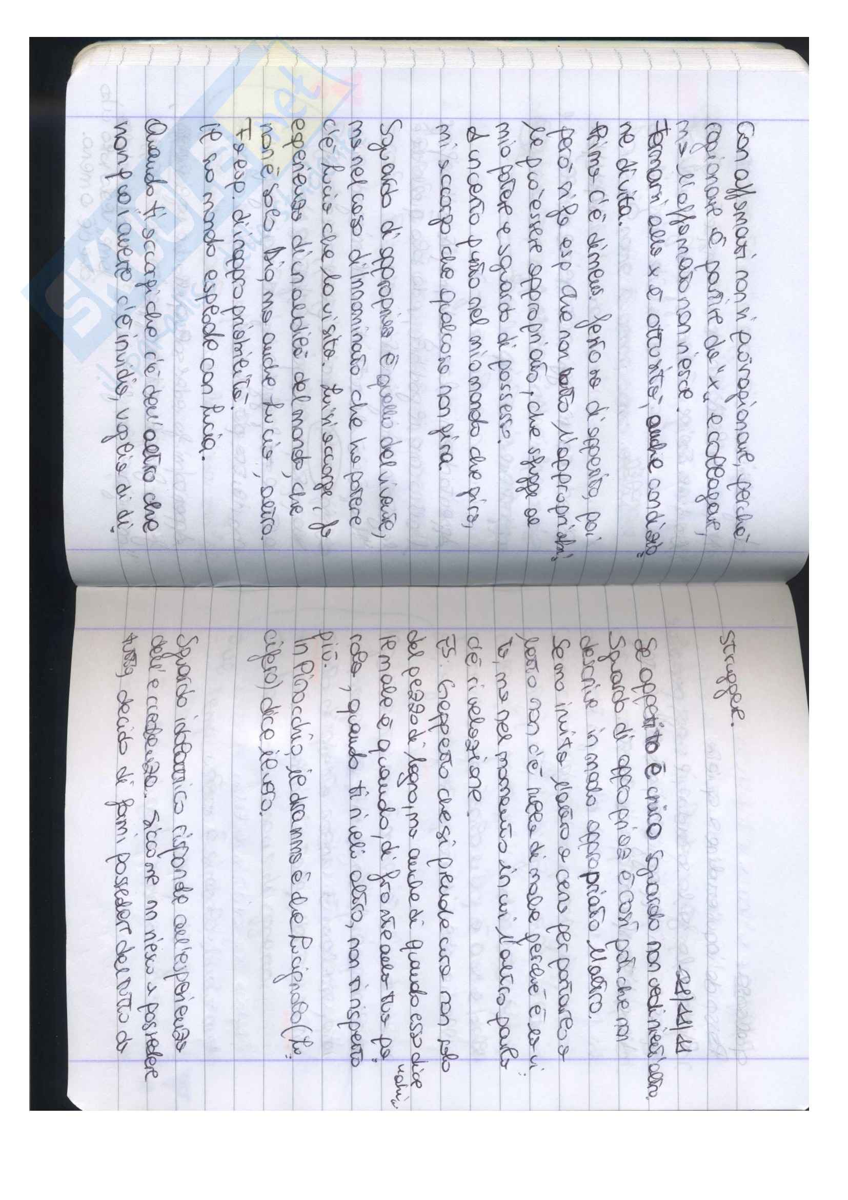 Teorie della comunicazione - Appunti Pag. 21