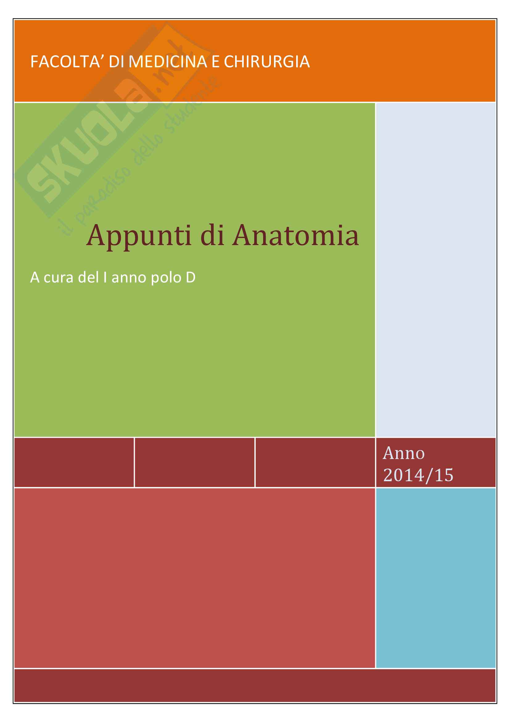 Anatomia 1 Pag. 1