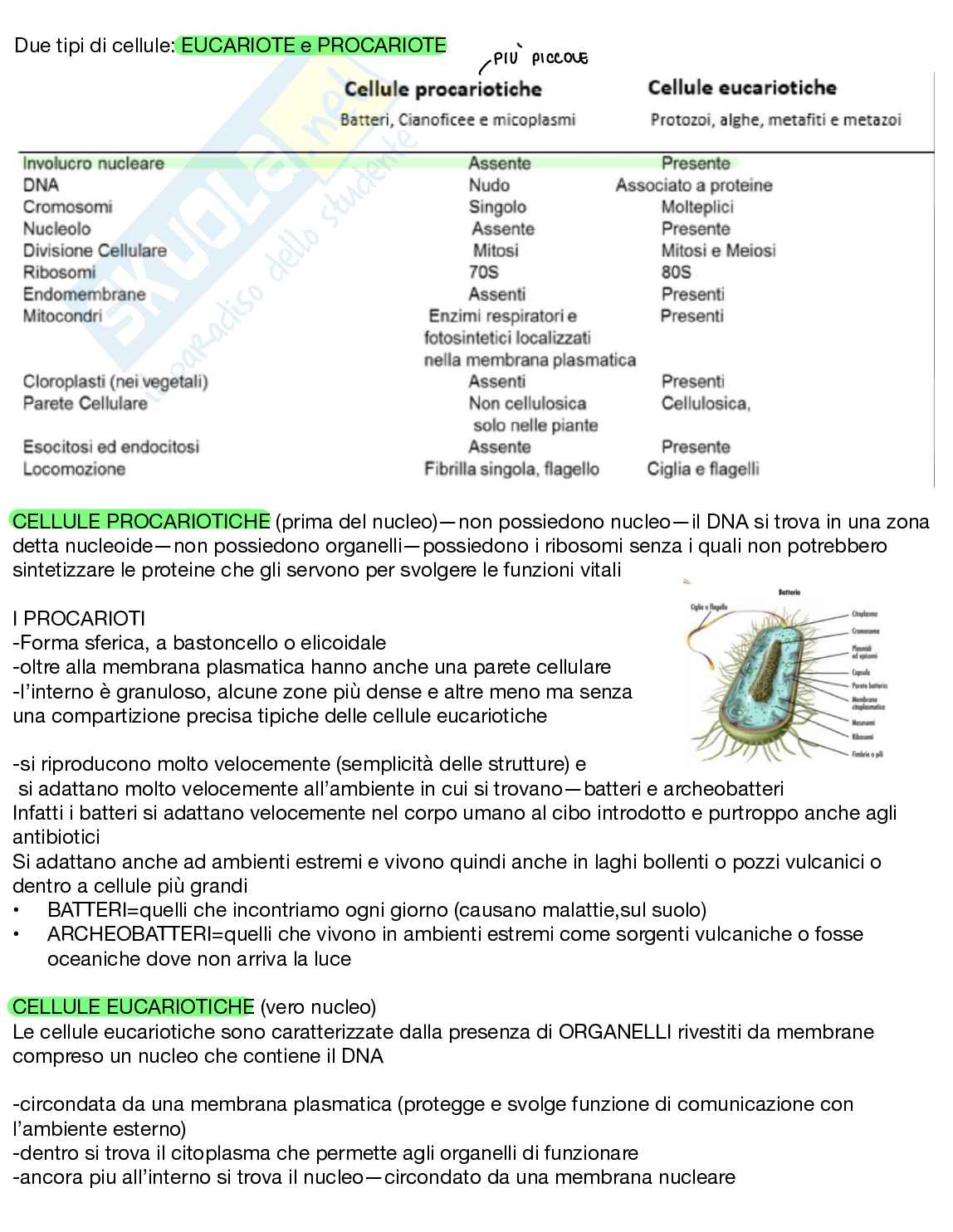 Appunti Biologia generale Pag. 16