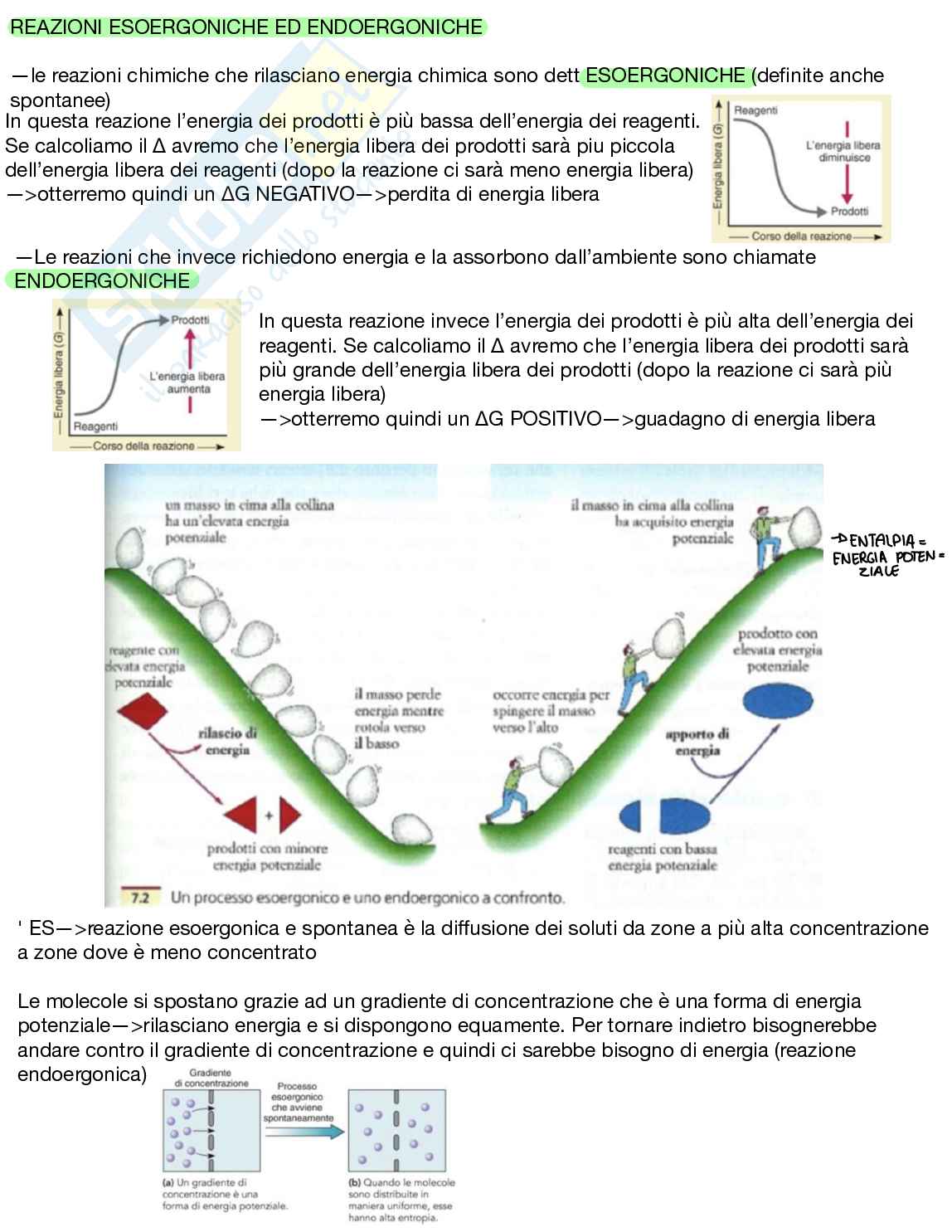 Appunti Biologia generale Pag. 41