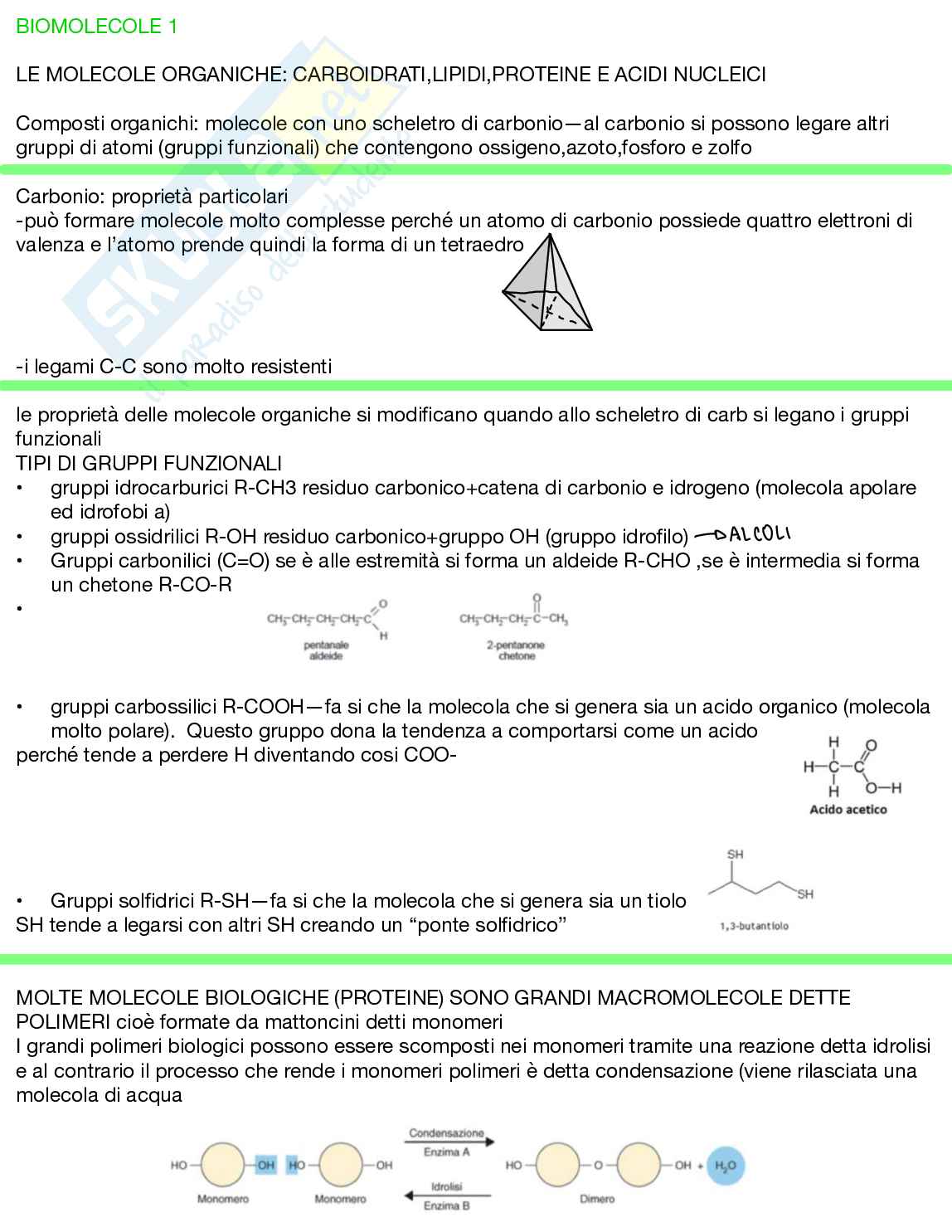 Appunti Biologia generale Pag. 6