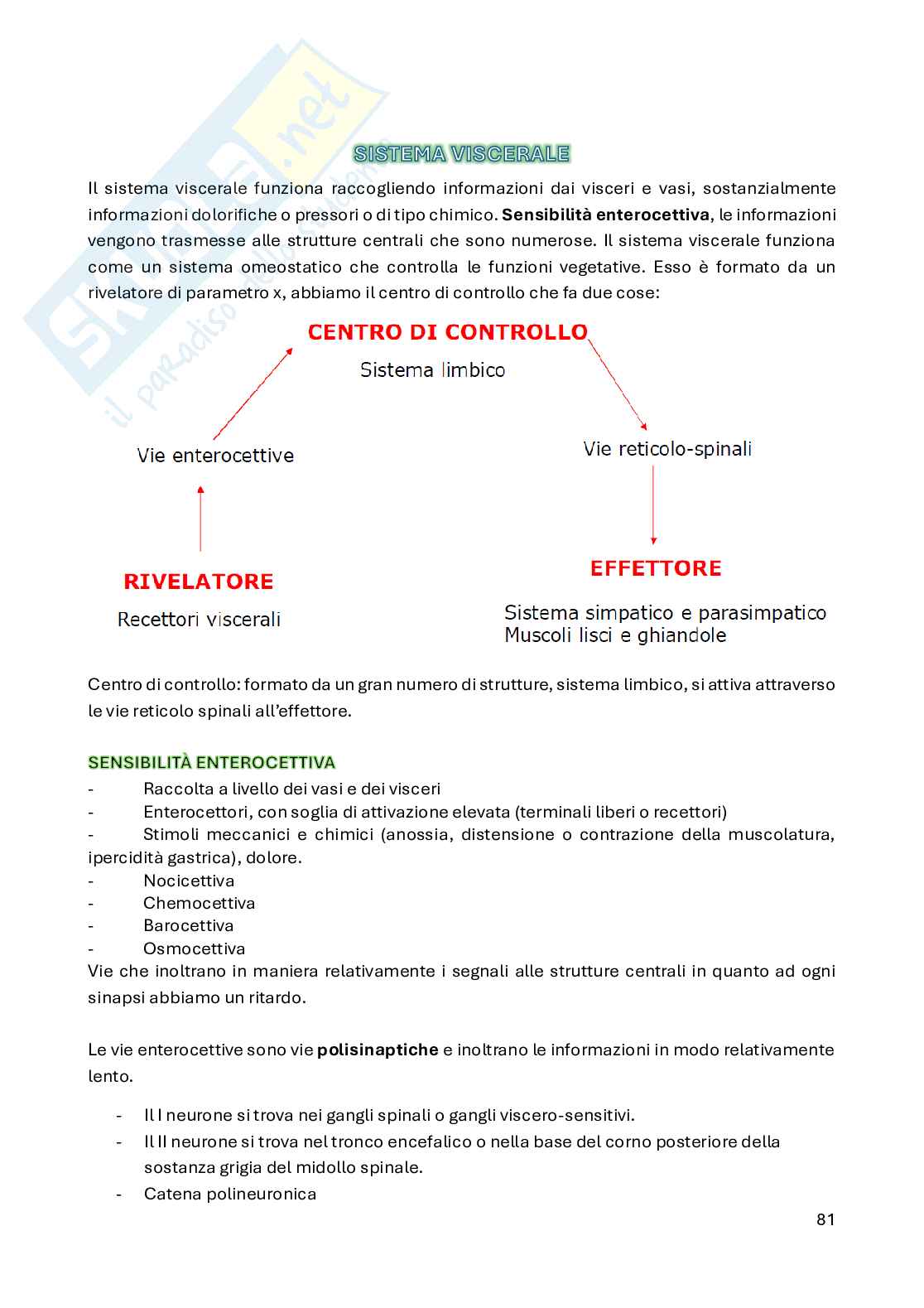 Appunti di Biologia animale e anatomia umana sul sistema nervoso Pag. 81