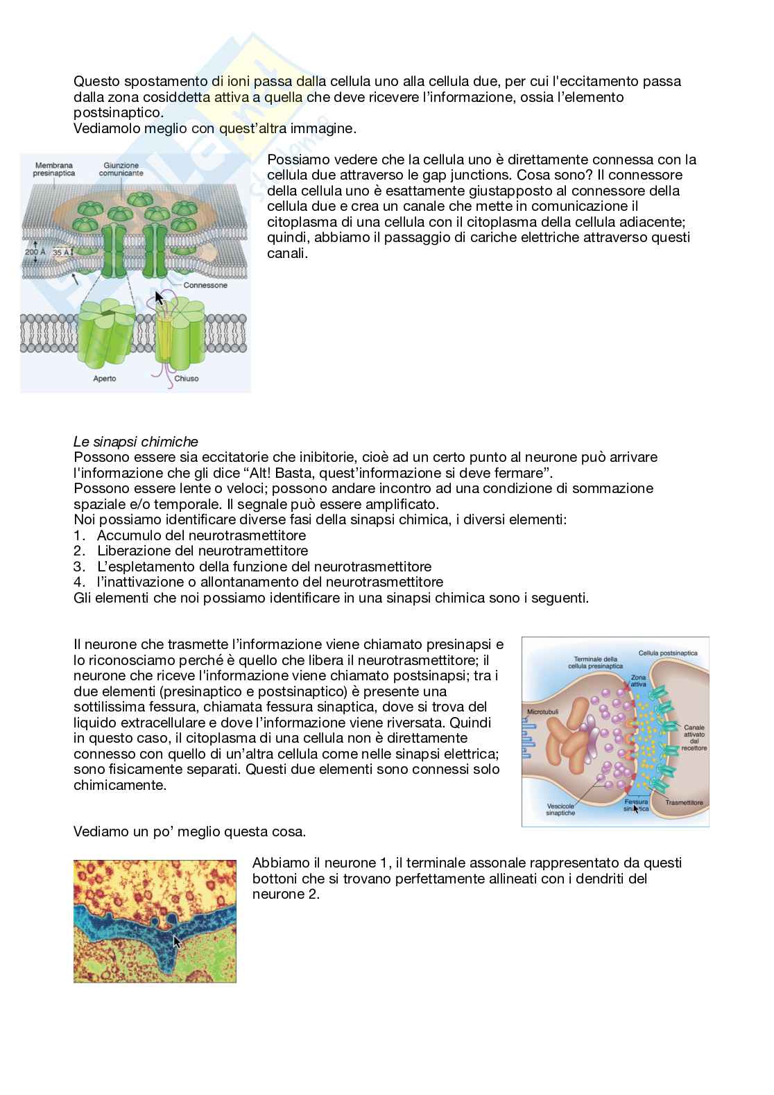 Fisiologia generale - Parte  2 Pag. 11