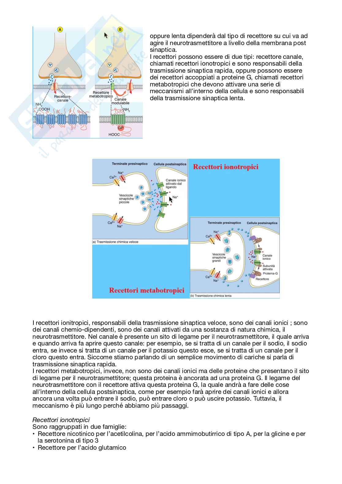 Fisiologia generale - Parte  2 Pag. 16