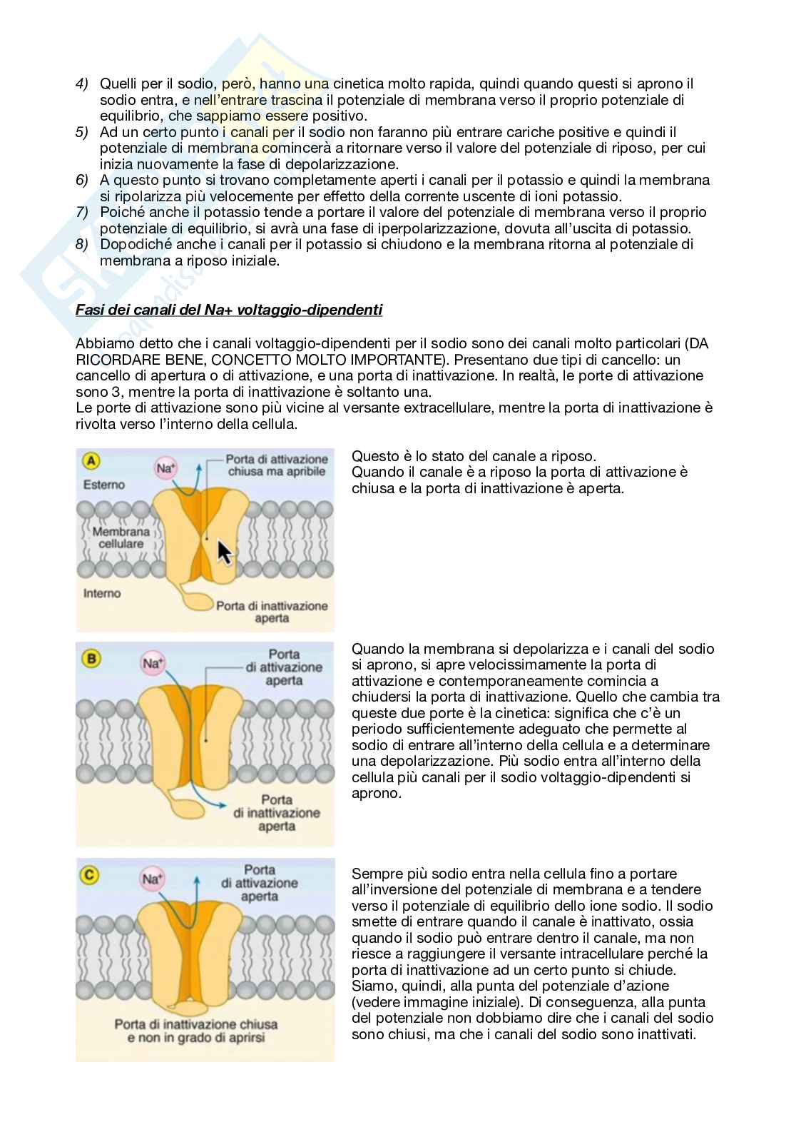 Fisiologia generale - Parte  2 Pag. 2