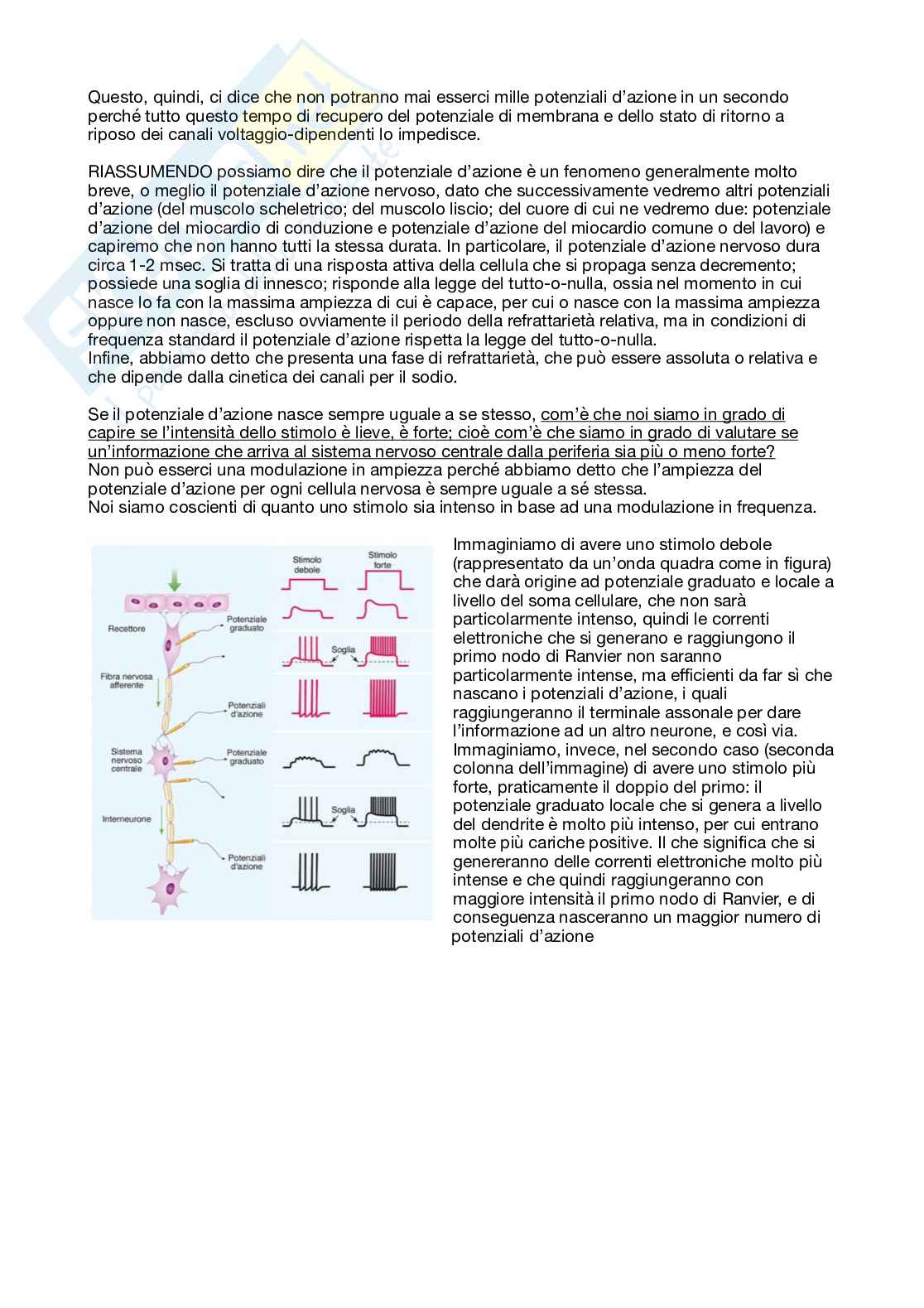 Fisiologia generale - Parte  2 Pag. 6