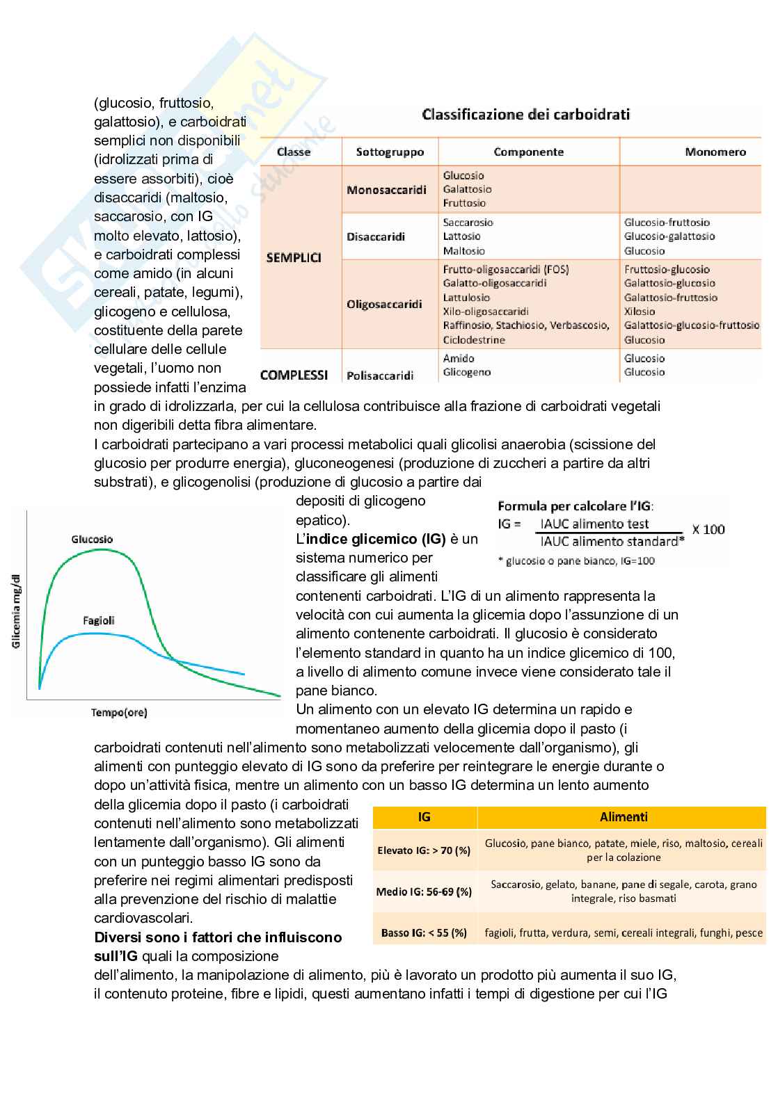 Salute e alimentazione - Infermieristica Pag. 11