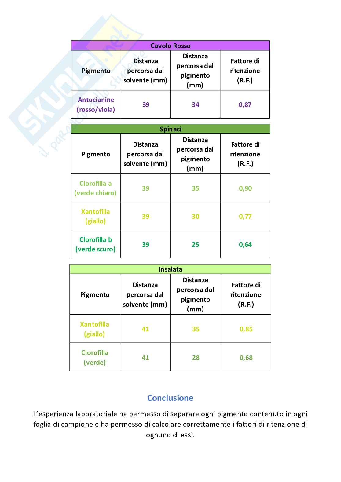 Relazione di Zoologia Pag. 6