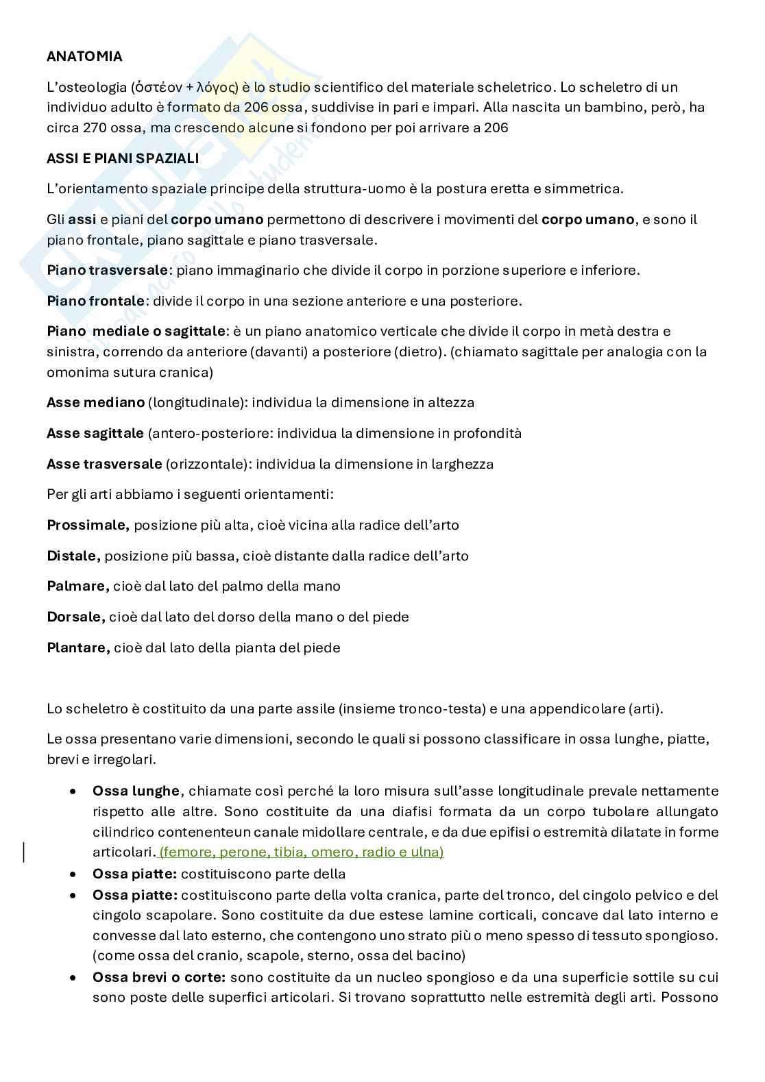 Anatomia artistica Pag. 1