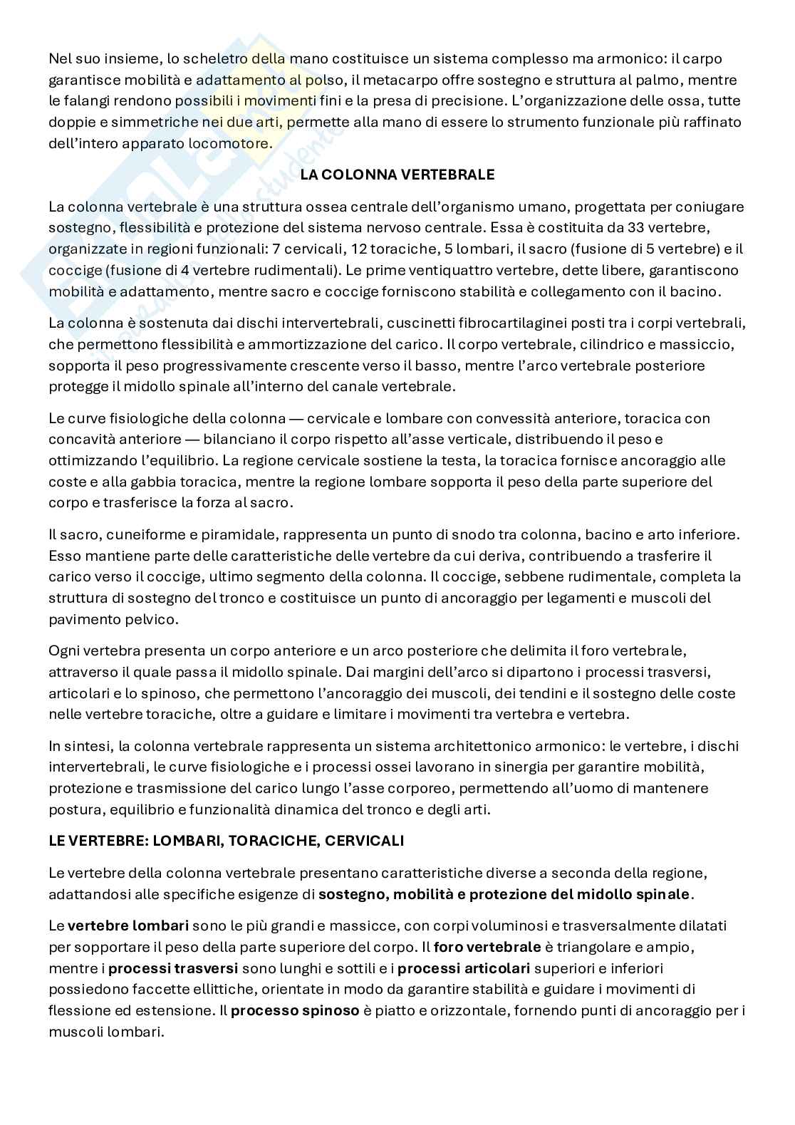 Anatomia artistica Pag. 11