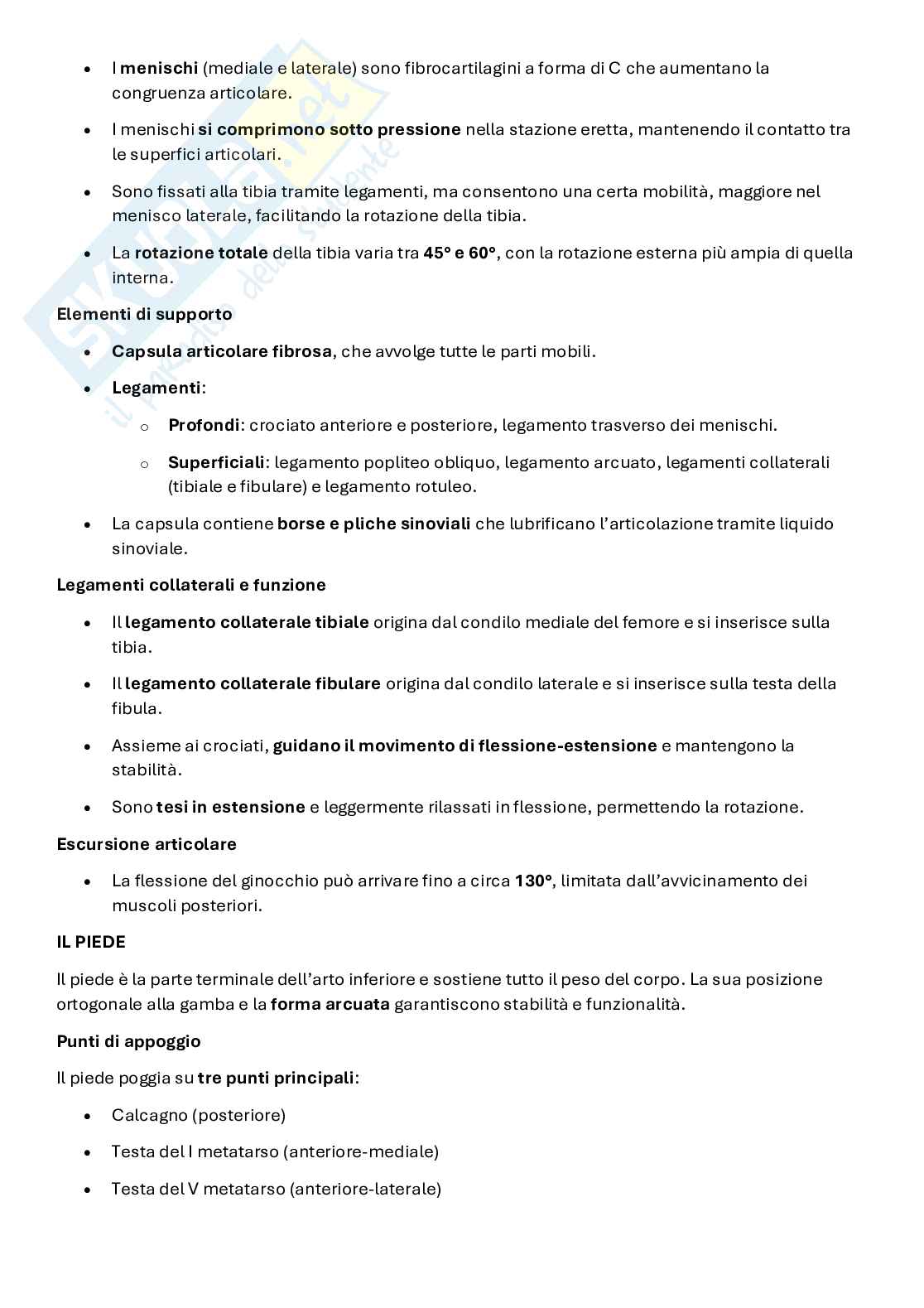 Anatomia artistica Pag. 16