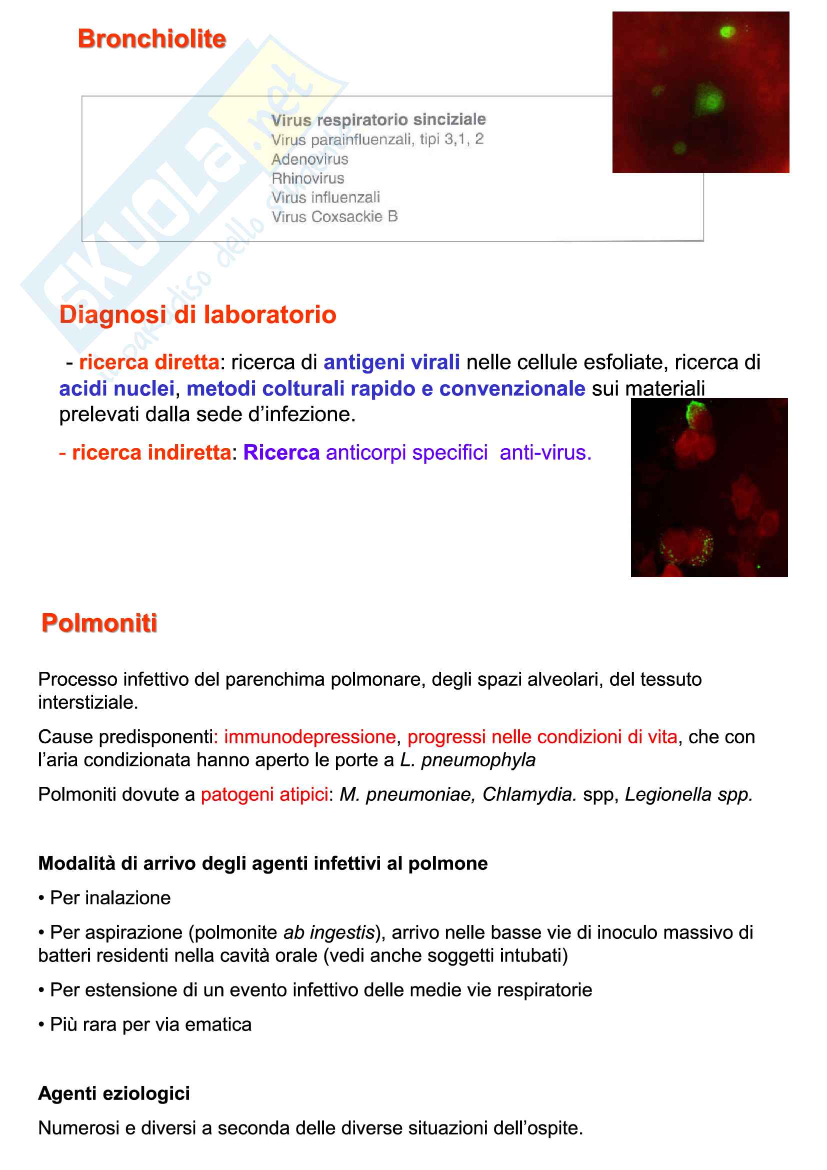 Diagnostica di laboratorio delle malattie da infezione Pag. 131