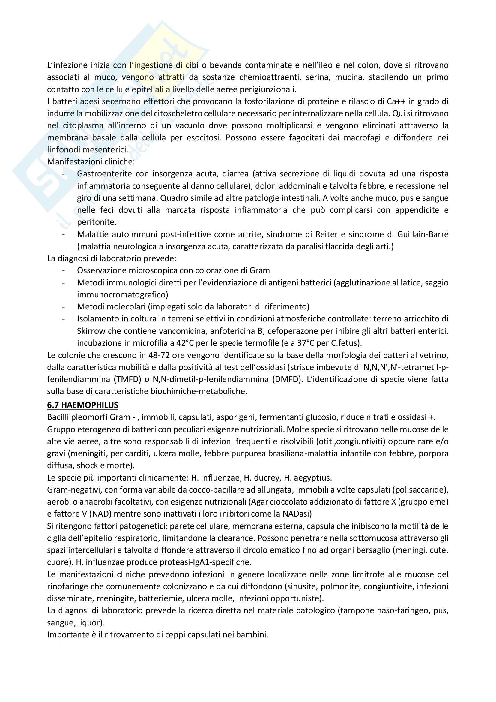 Diagnostica di laboratorio delle malattie da infezione Pag. 46