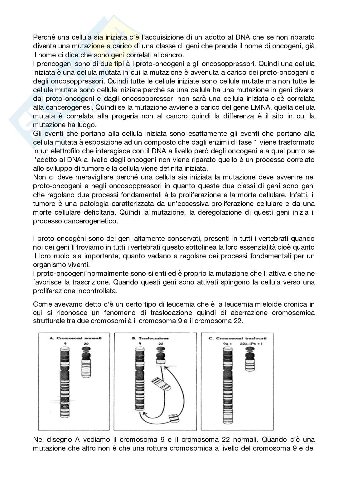 Tossicologia generale - parte 1 Pag. 31