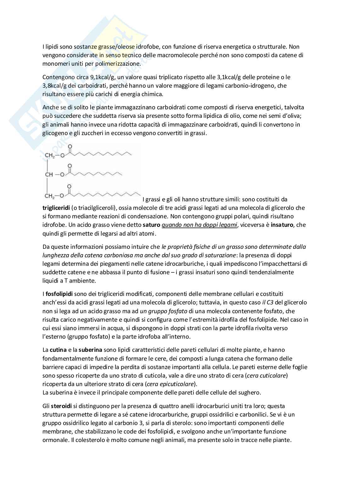 Appunti completi Biologia applicata Pag. 2