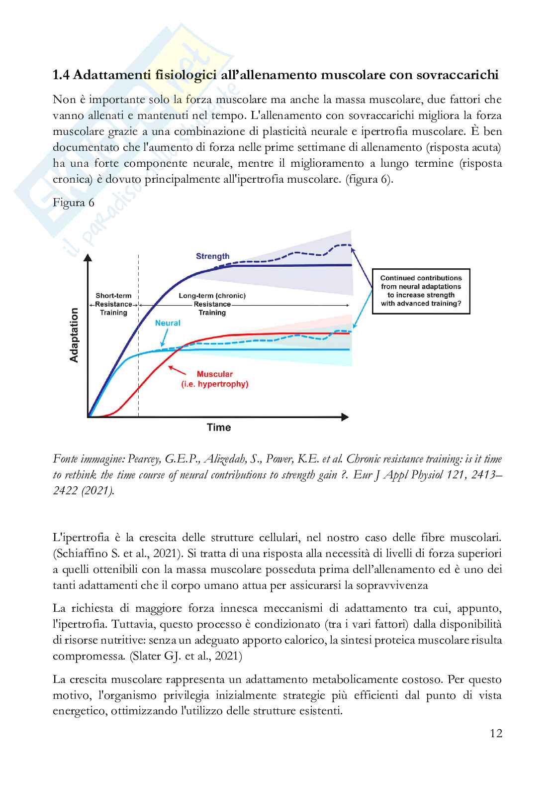 Fisiologia dell'esercizio a corpo libero: strategie per una longevità vincente ​ Pag. 16