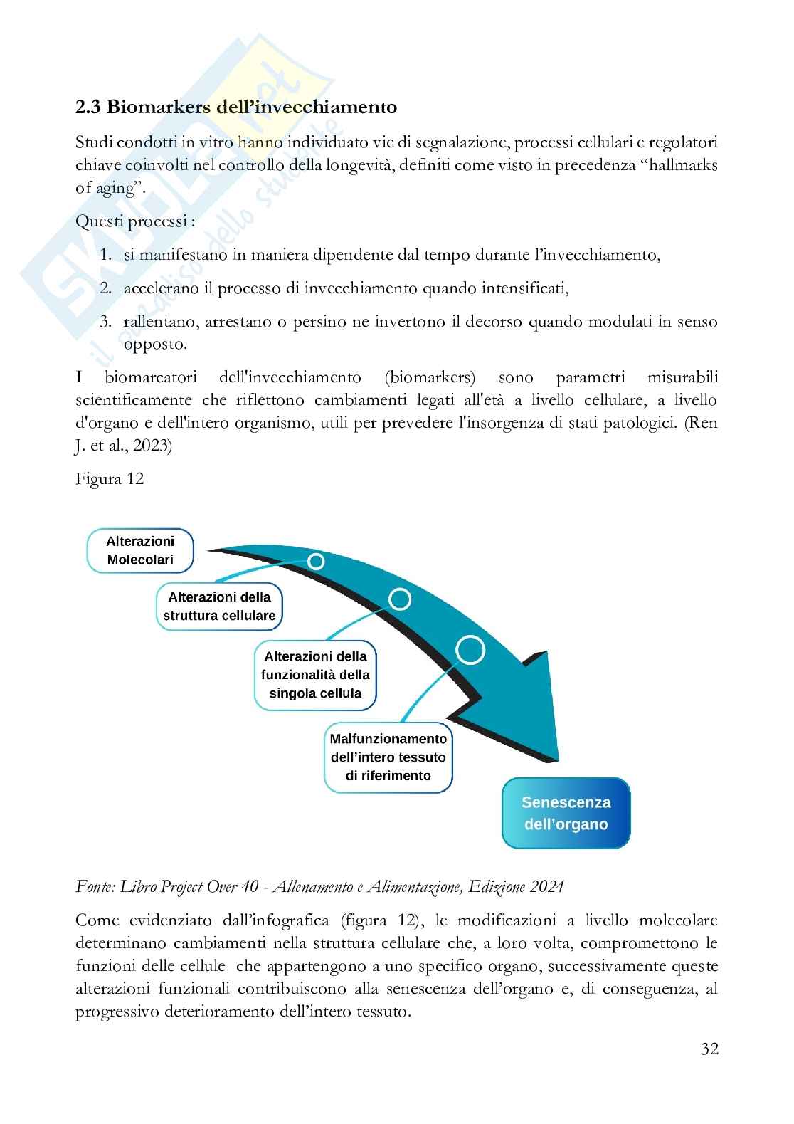 Fisiologia dell'esercizio a corpo libero: strategie per una longevità vincente ​ Pag. 36