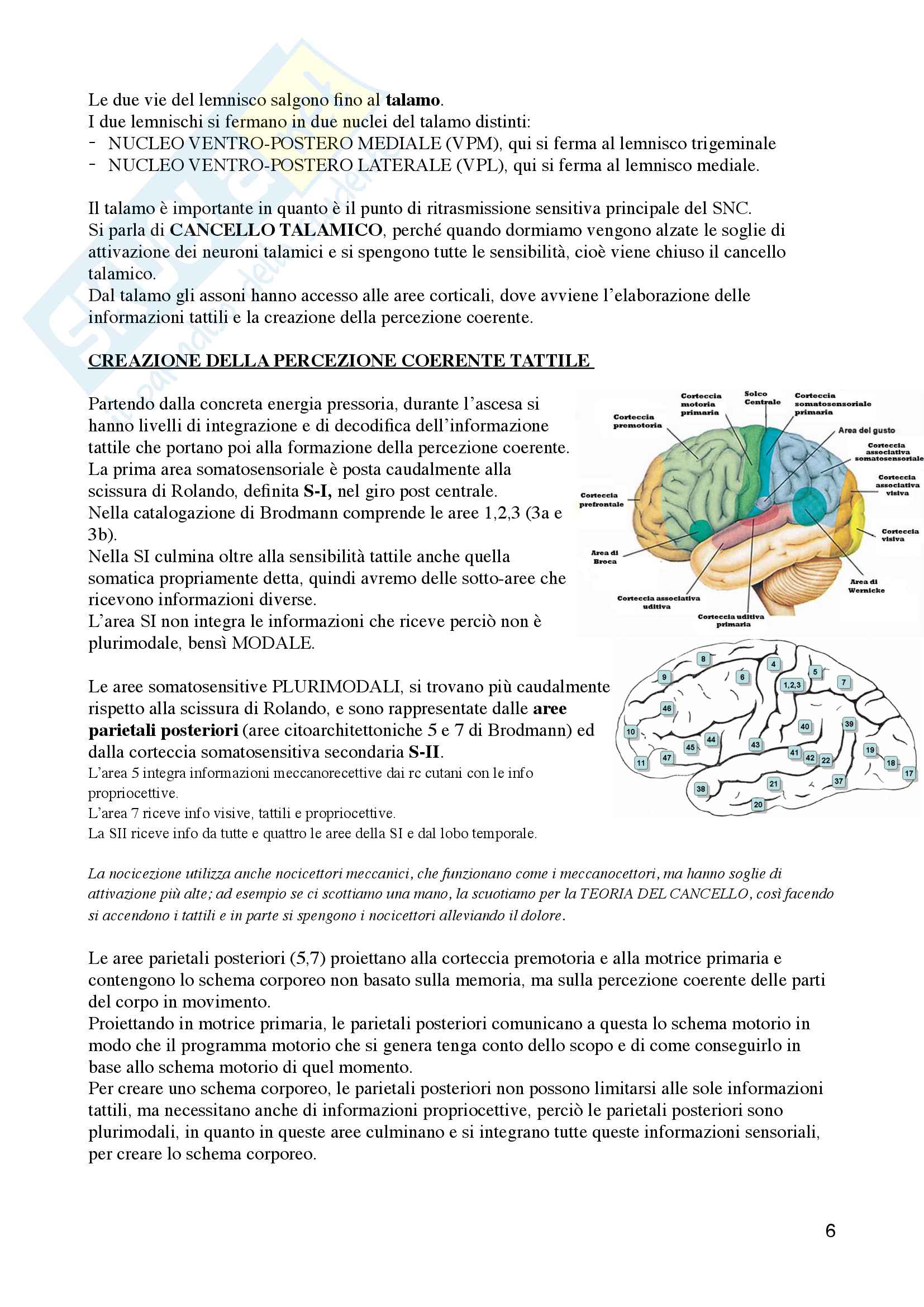 Fisiologia: terza parte Pag. 6