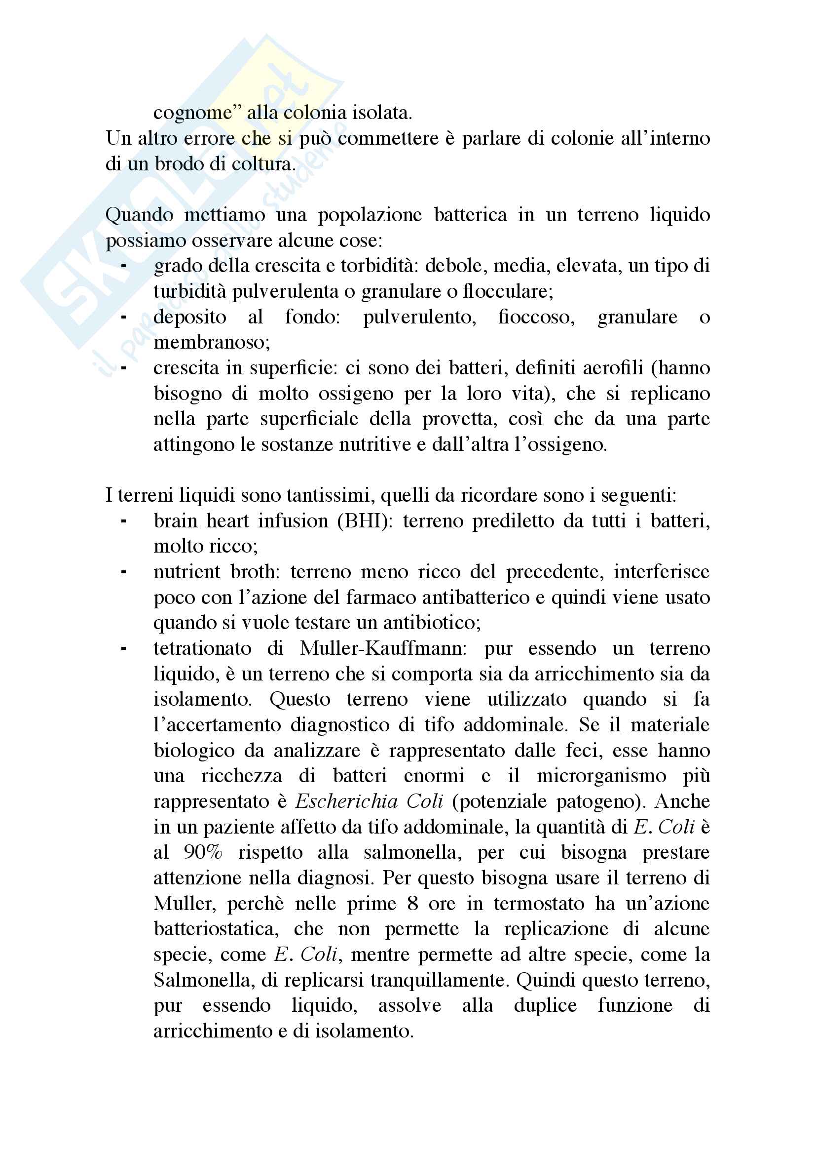 Appunti Microbiologia Prof Mattina Pag. 36