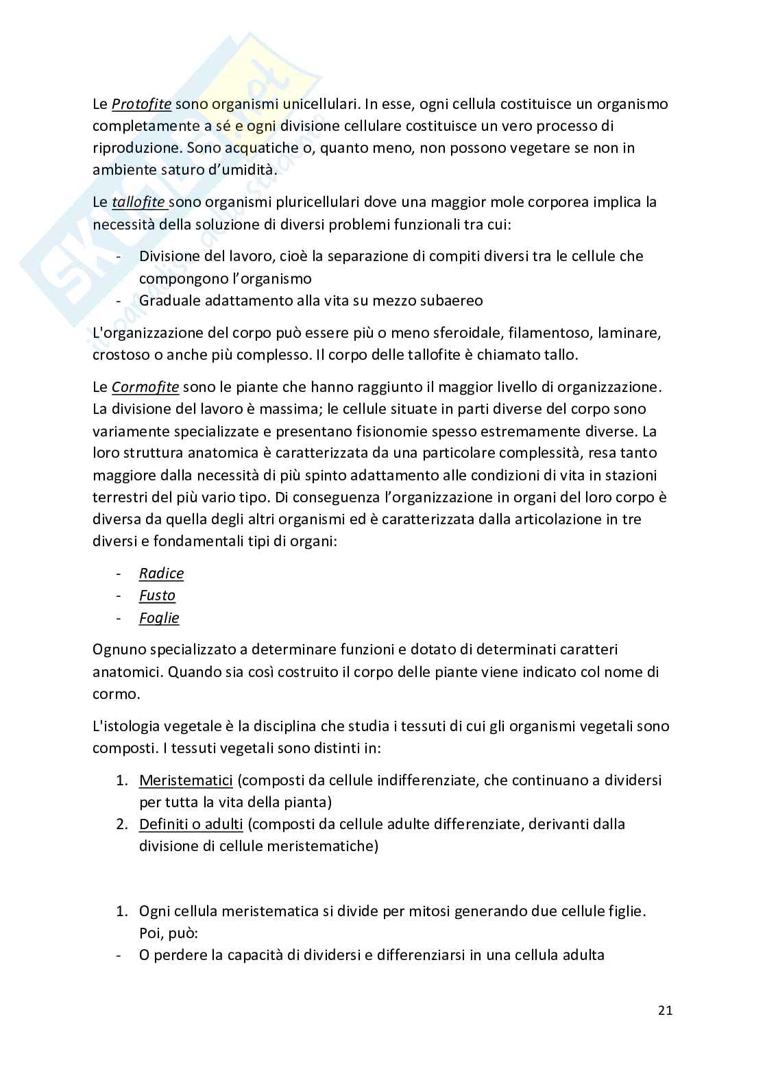 Botanica - Appunti completi   Pag. 21