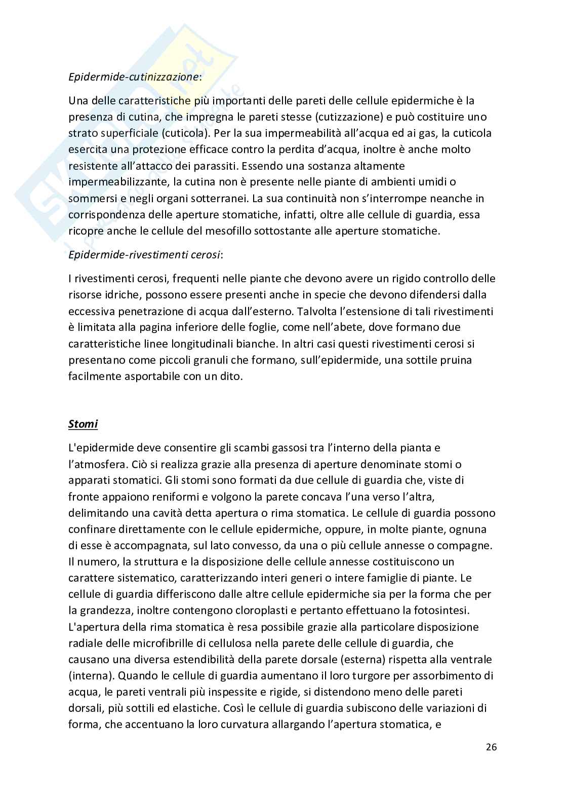 Botanica - Appunti completi   Pag. 26
