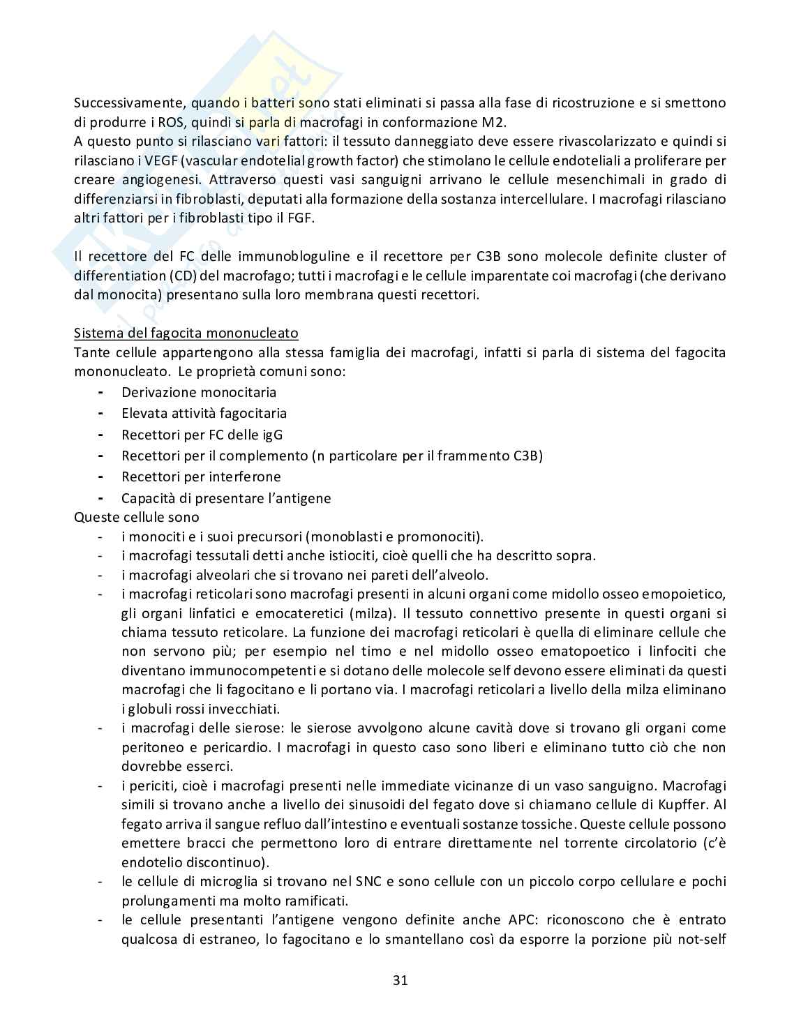 istologia, embriologia, odontogenesi Pag. 31