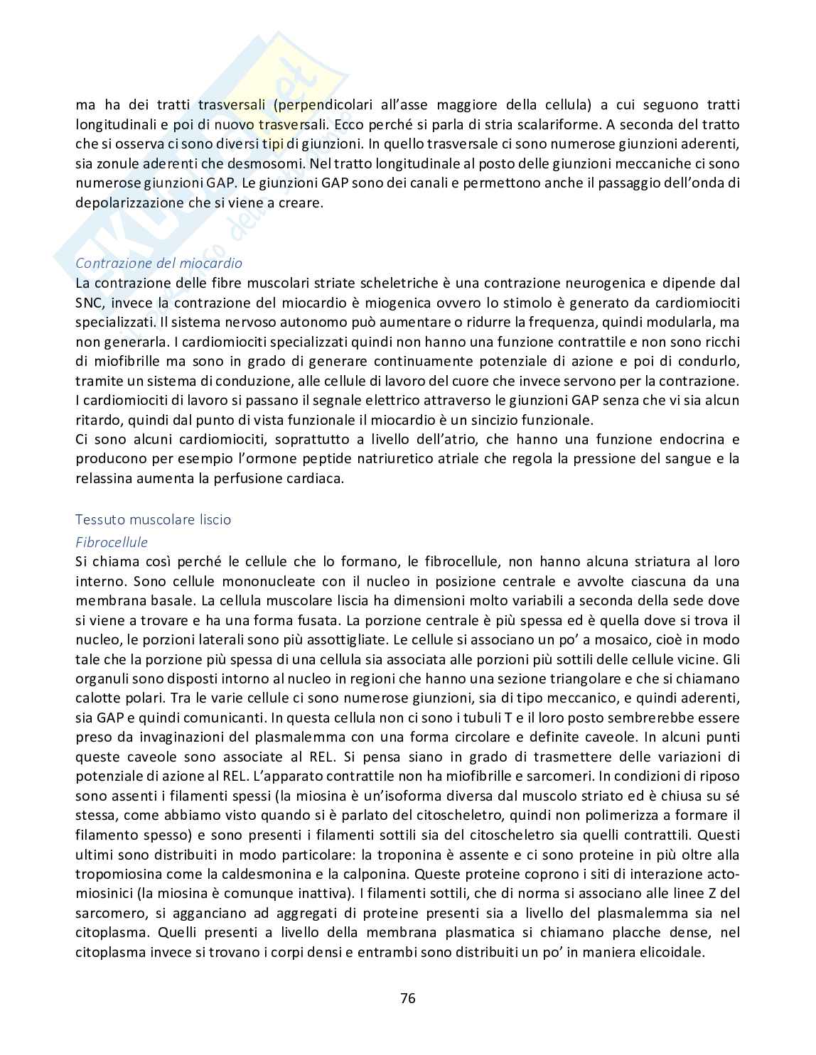 istologia, embriologia, odontogenesi Pag. 76