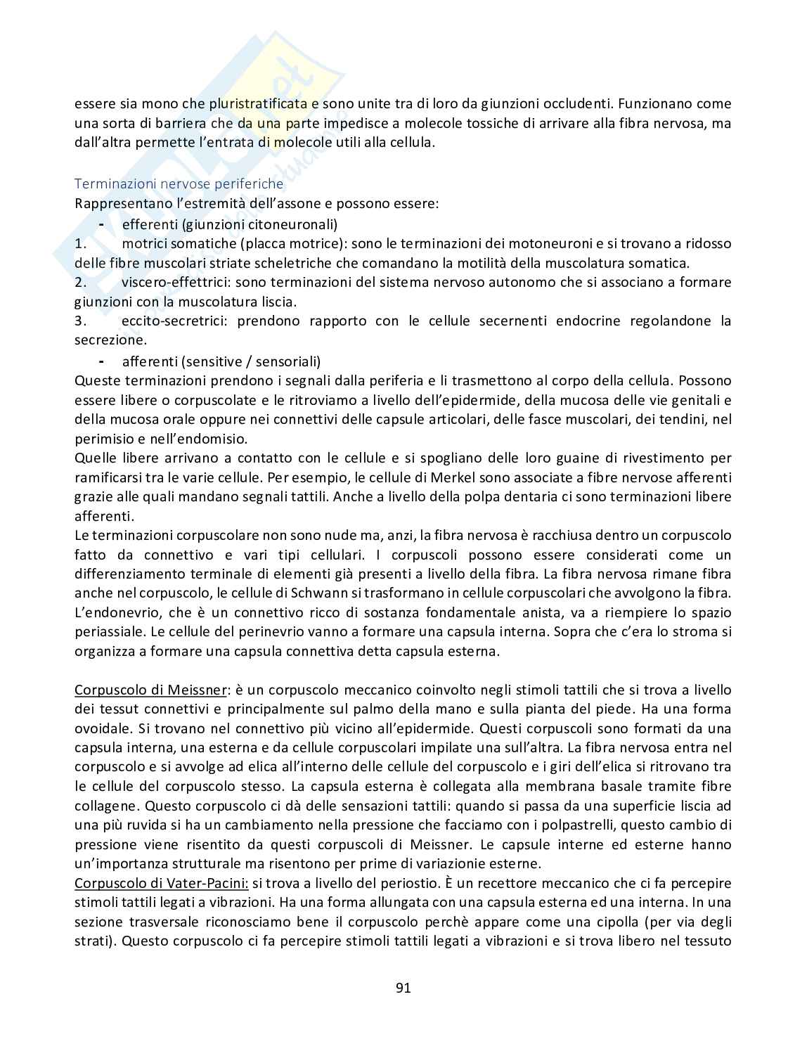 istologia, embriologia, odontogenesi Pag. 91