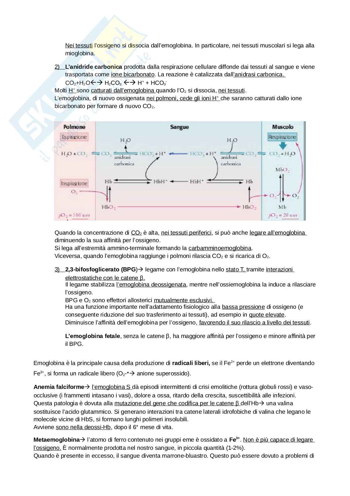 Biochimica  Pag. 21