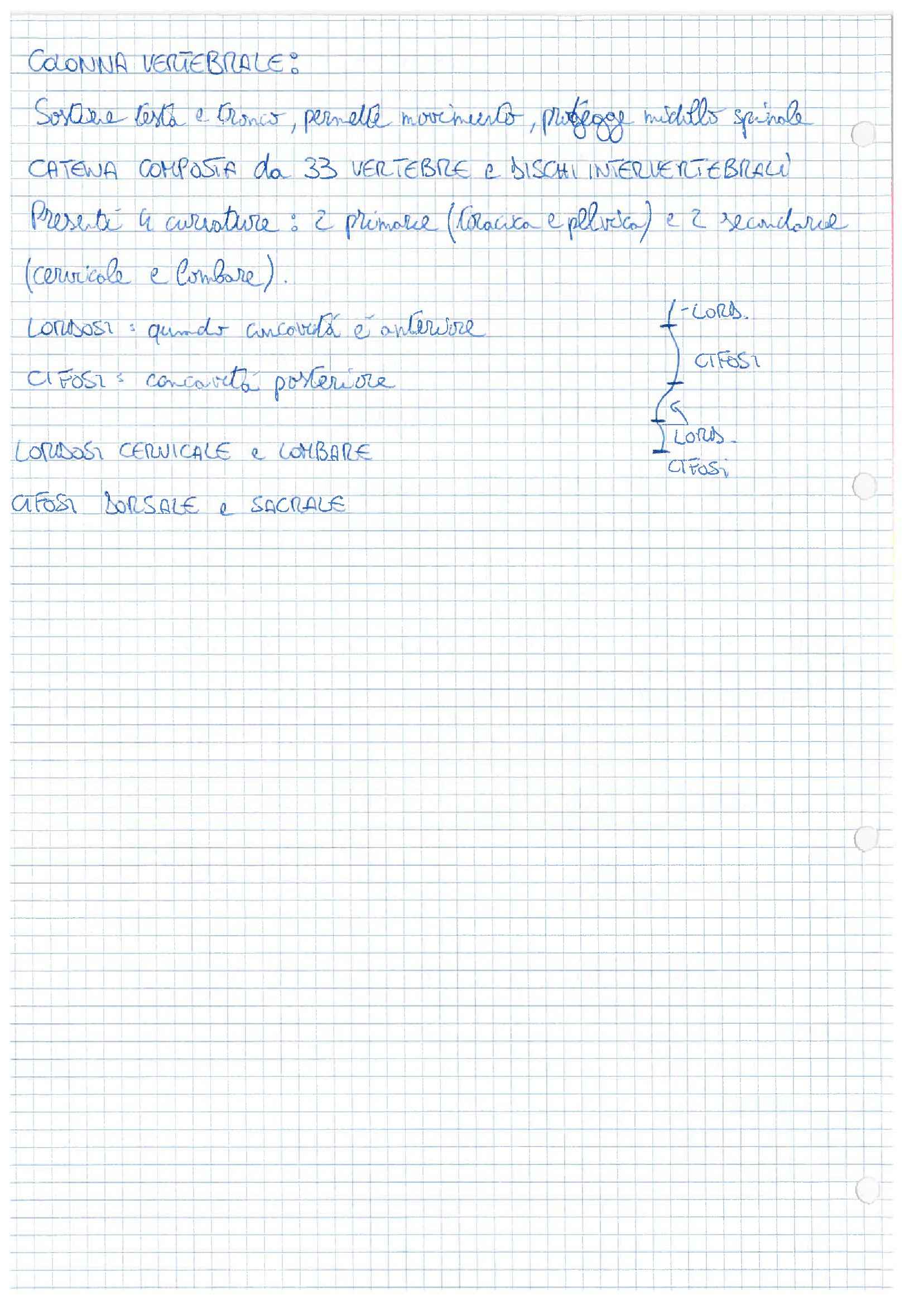 Anatomia dell'uomo - Appunti Pag. 6