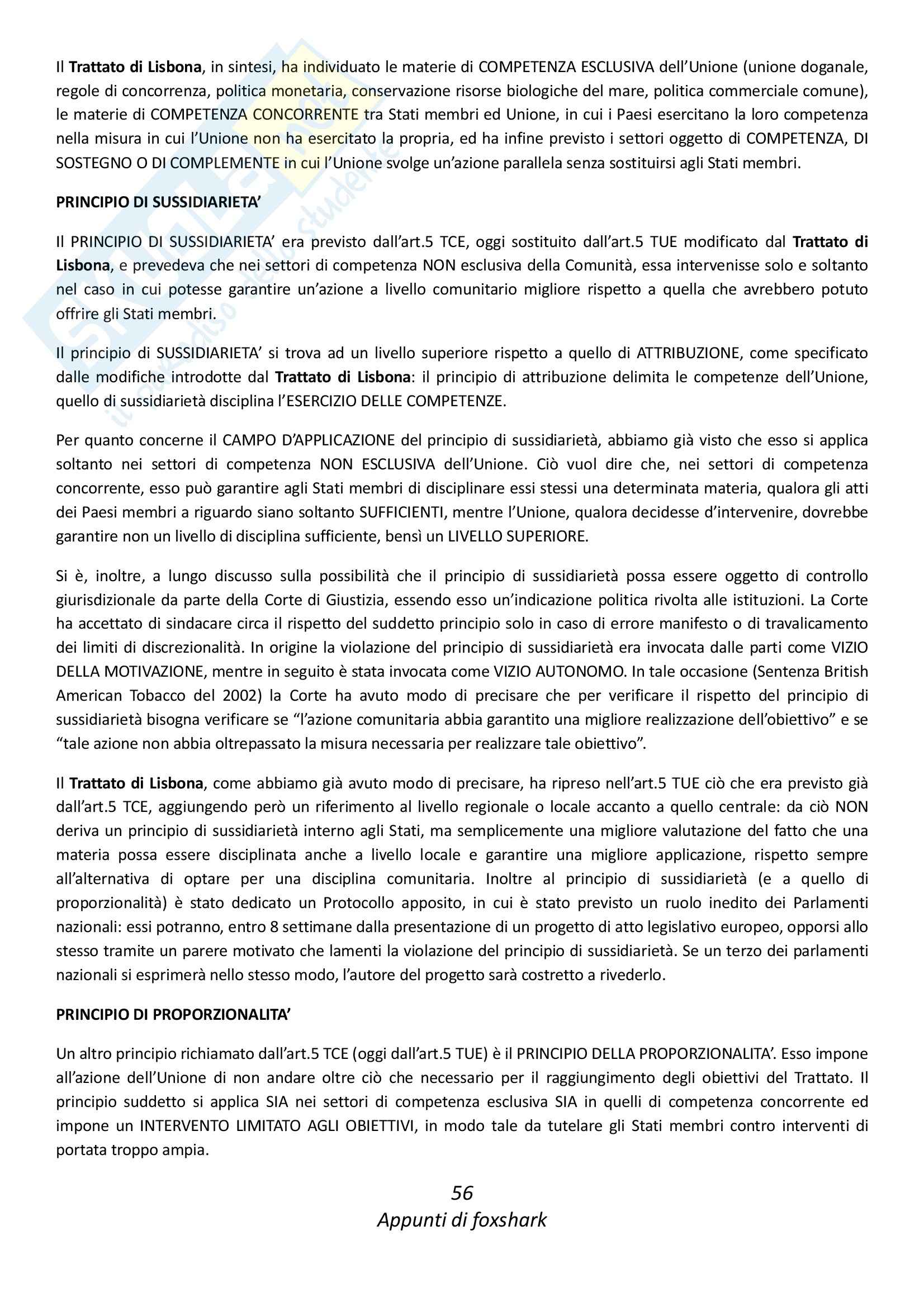 Diritto dell'Unione Europea - Appunti Pag. 56