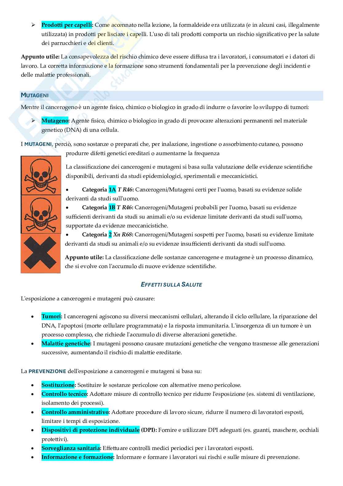 Appunti approfonditi Rischi ambientali e salute Pag. 21