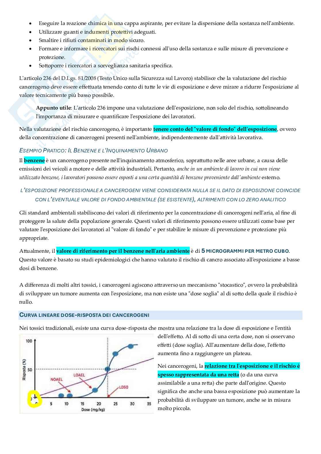 Appunti approfonditi Rischi ambientali e salute Pag. 36