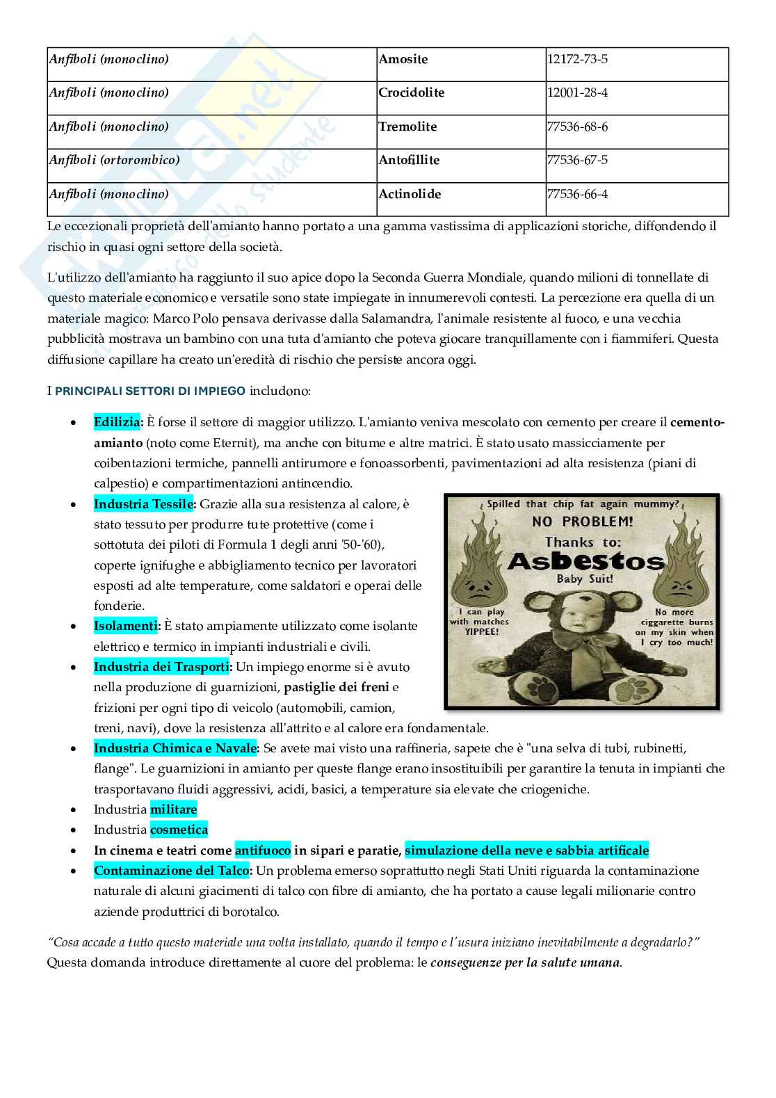 Appunti approfonditi Rischi ambientali e salute Pag. 61