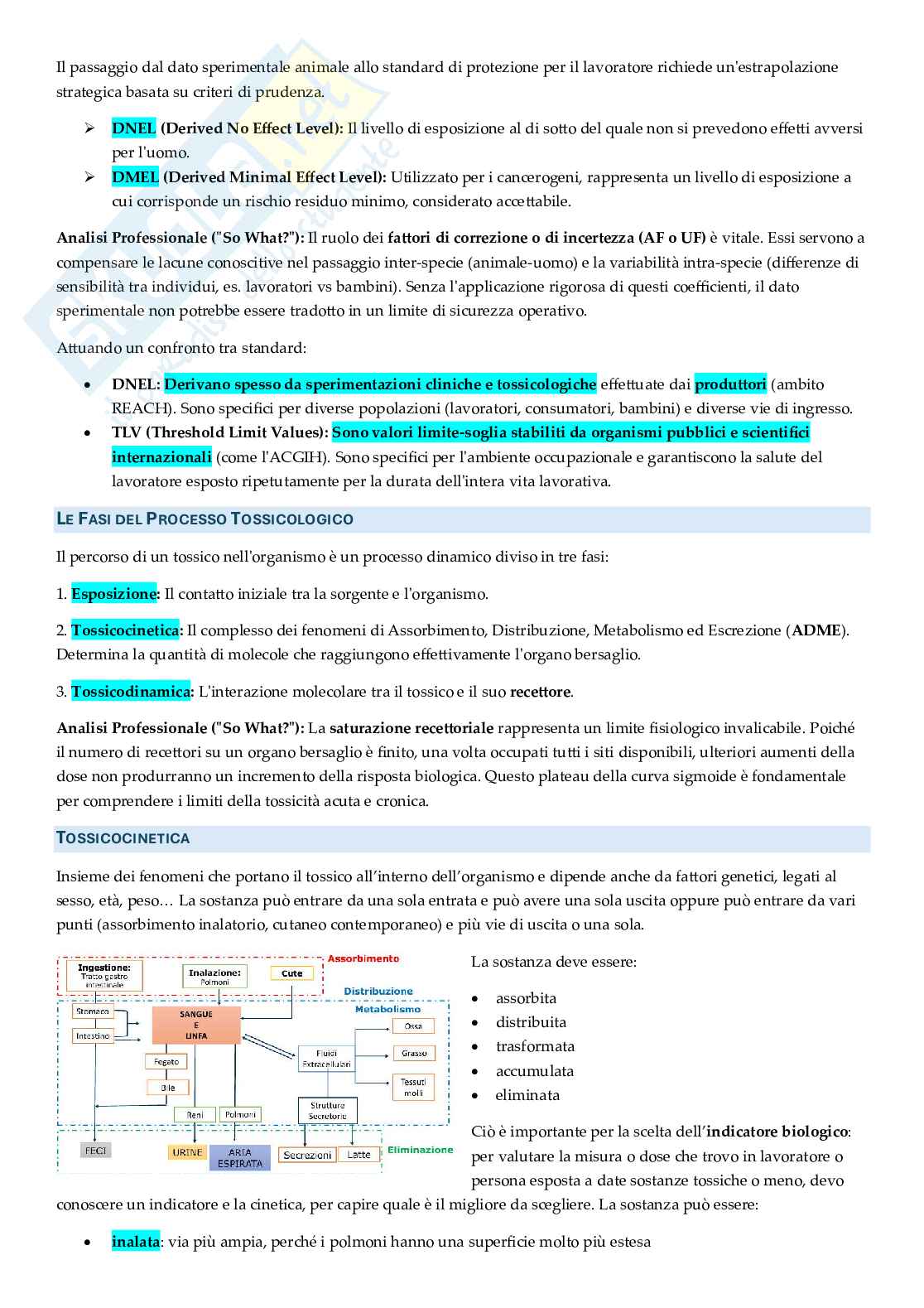 Appunti approfonditi Rischi ambientali e salute Pag. 66