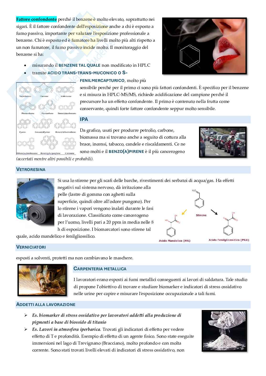 Appunti approfonditi Rischi ambientali e salute Pag. 71
