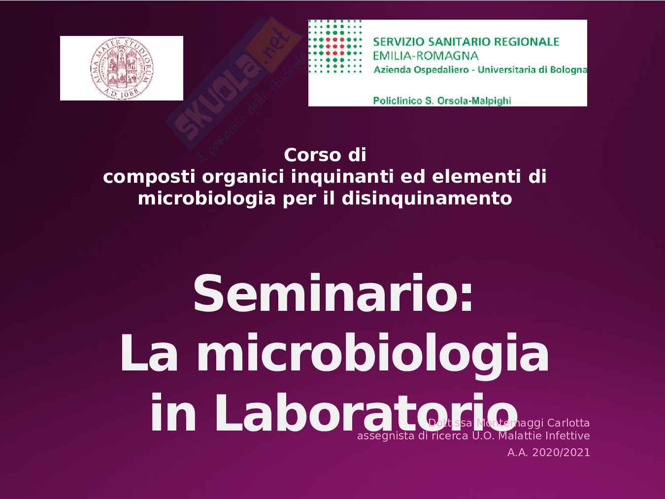 seminario microbiologia Pag. 1