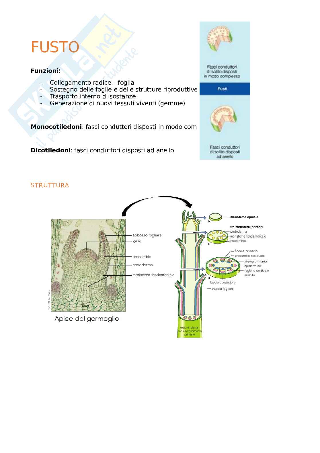 Appunti Biologia generale Pag. 1