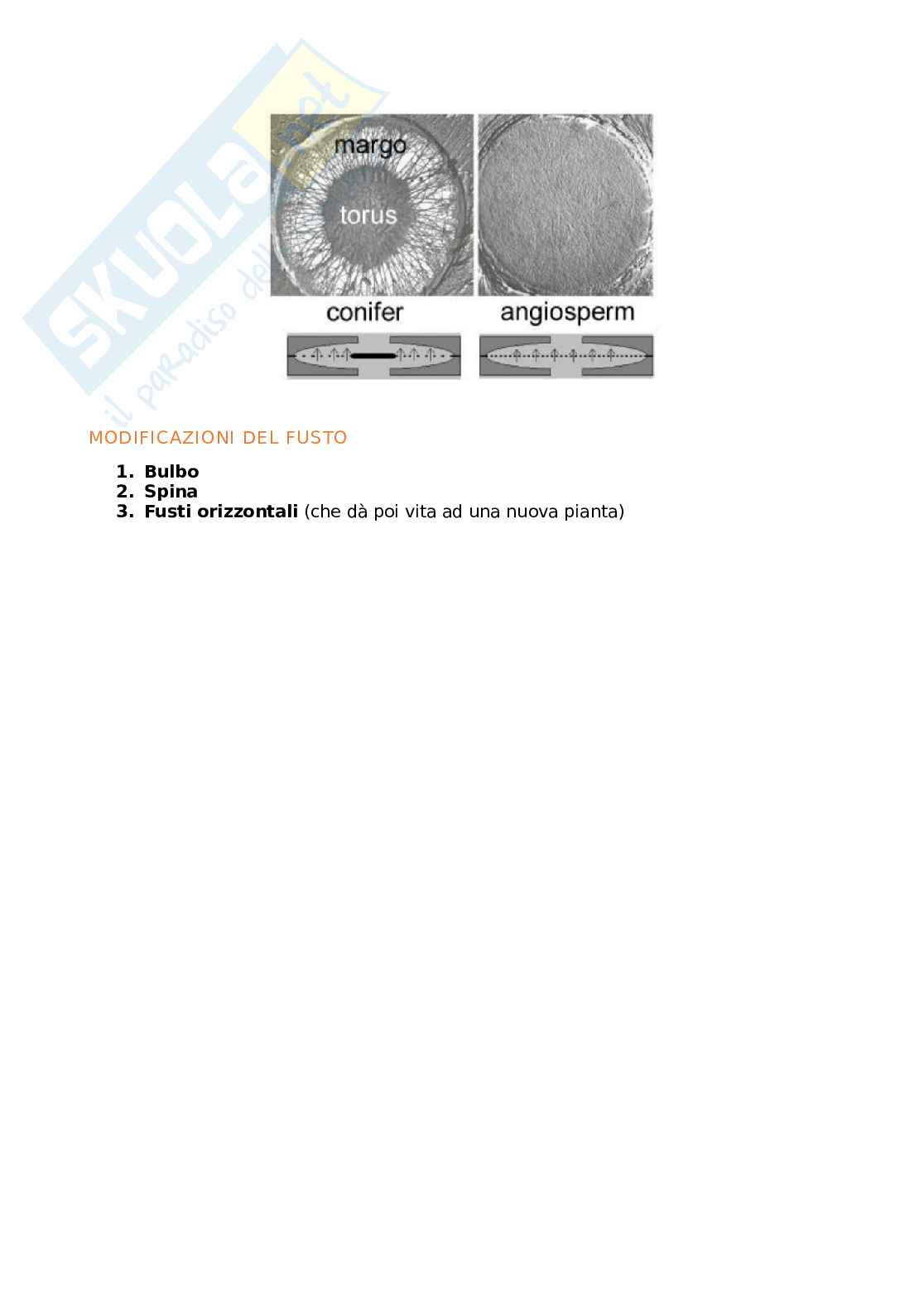Appunti Biologia generale Pag. 6